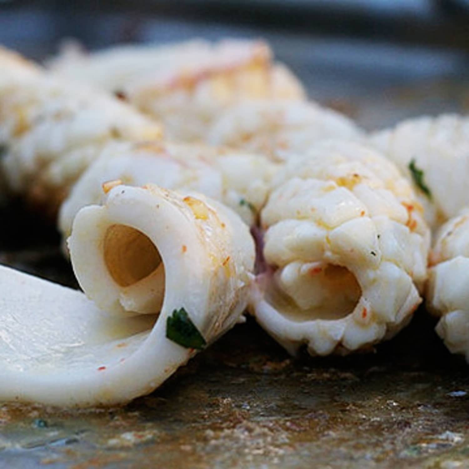 Кальмар морепродукт
