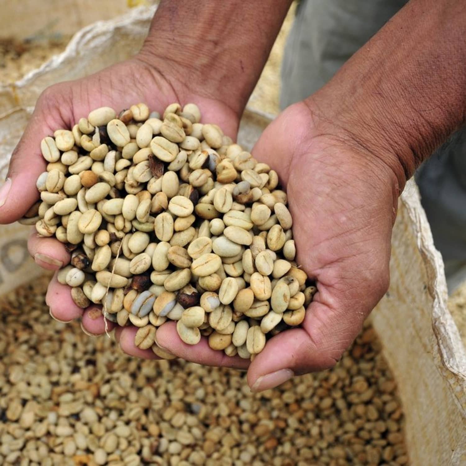 American coffee beans on sale