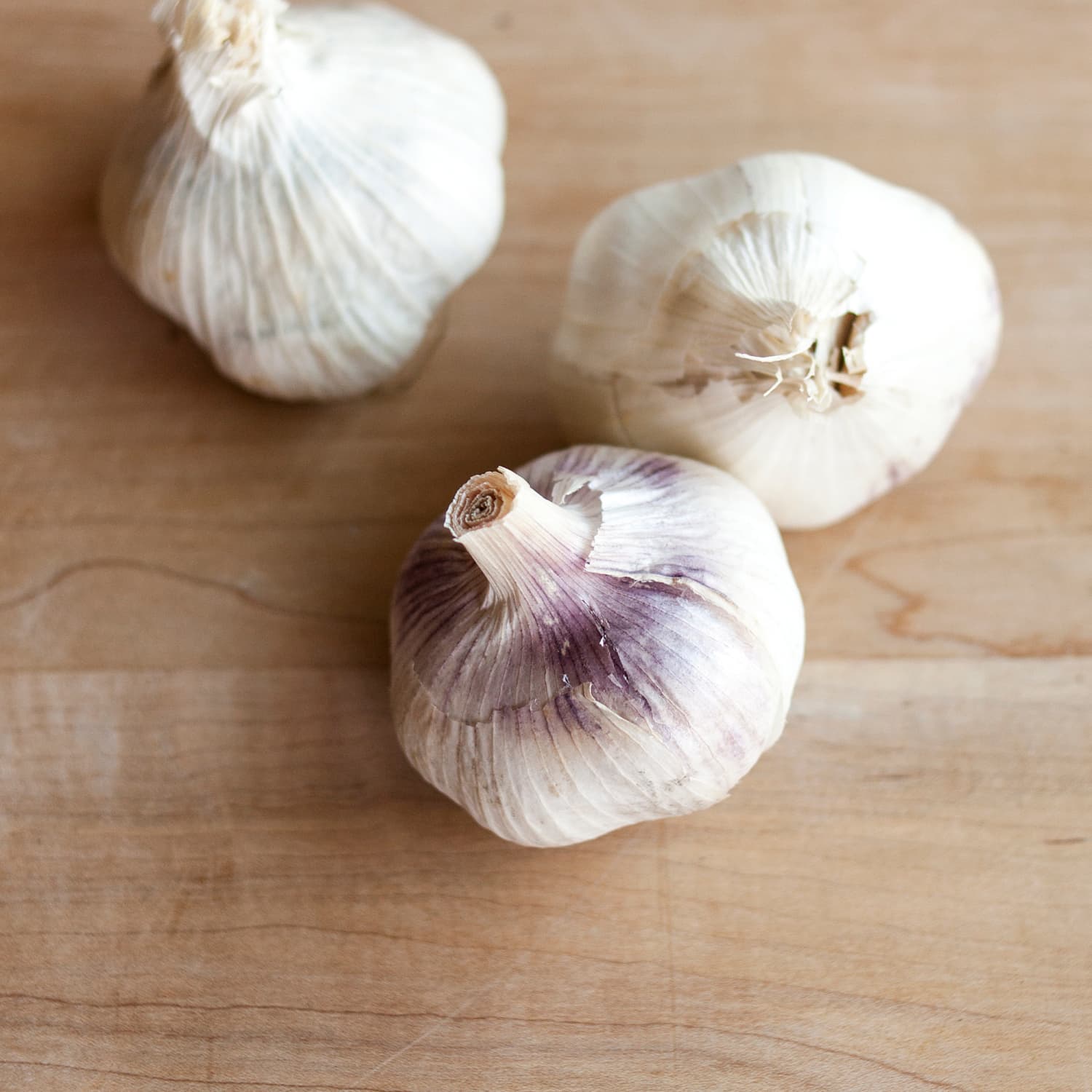 How Do You Store Fresh Garlic From The Garden Garden Likes