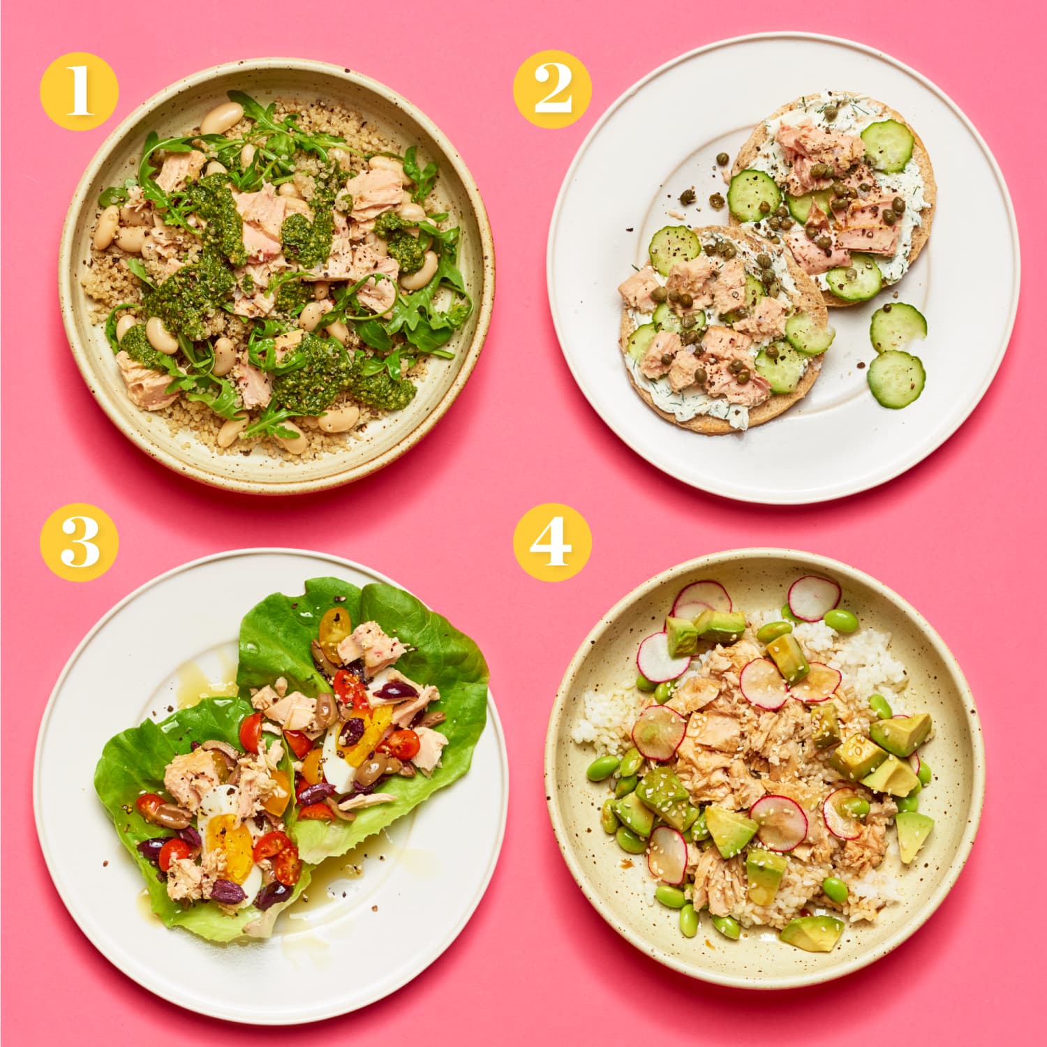 Tuna lunch discount