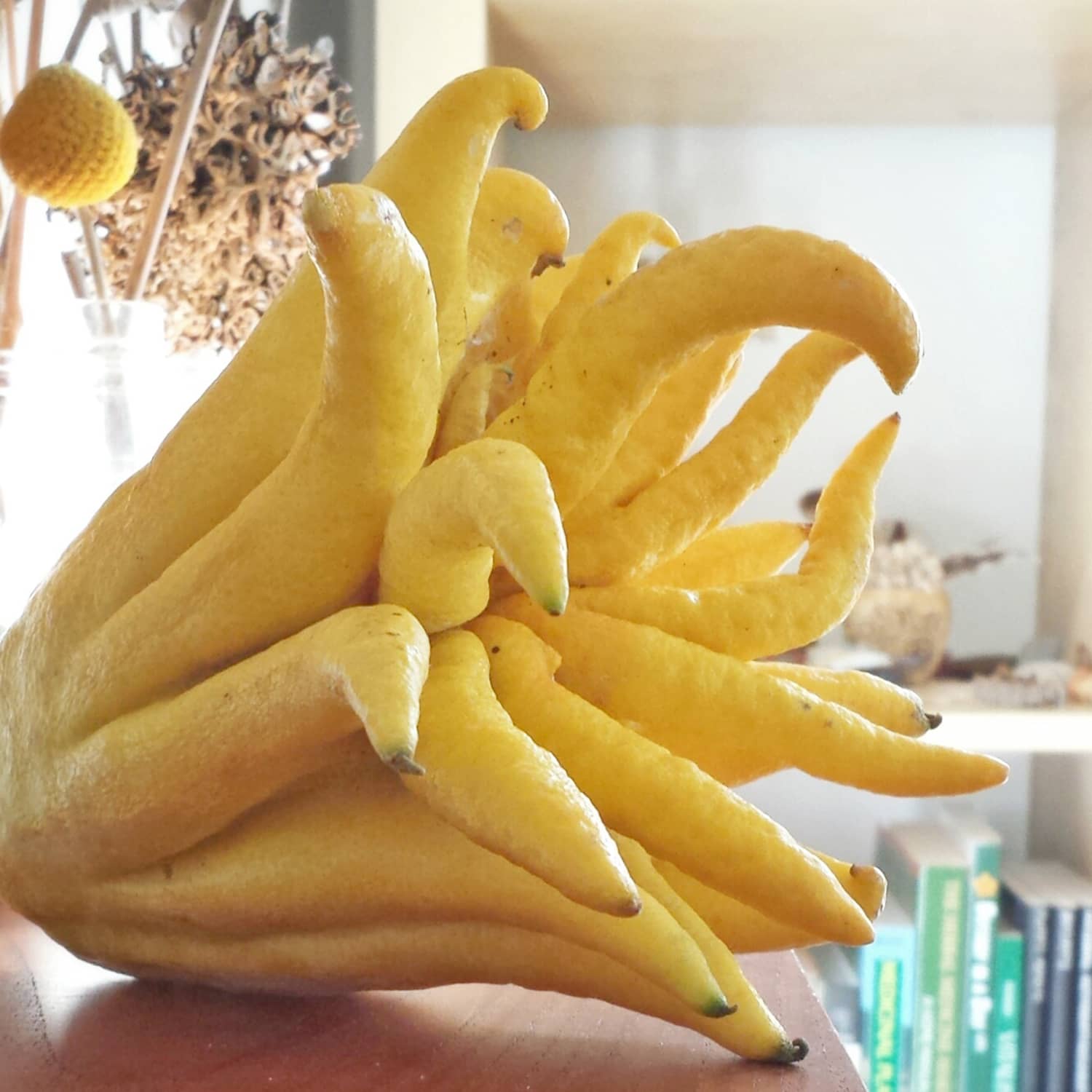 Buddha's cheap hand citron