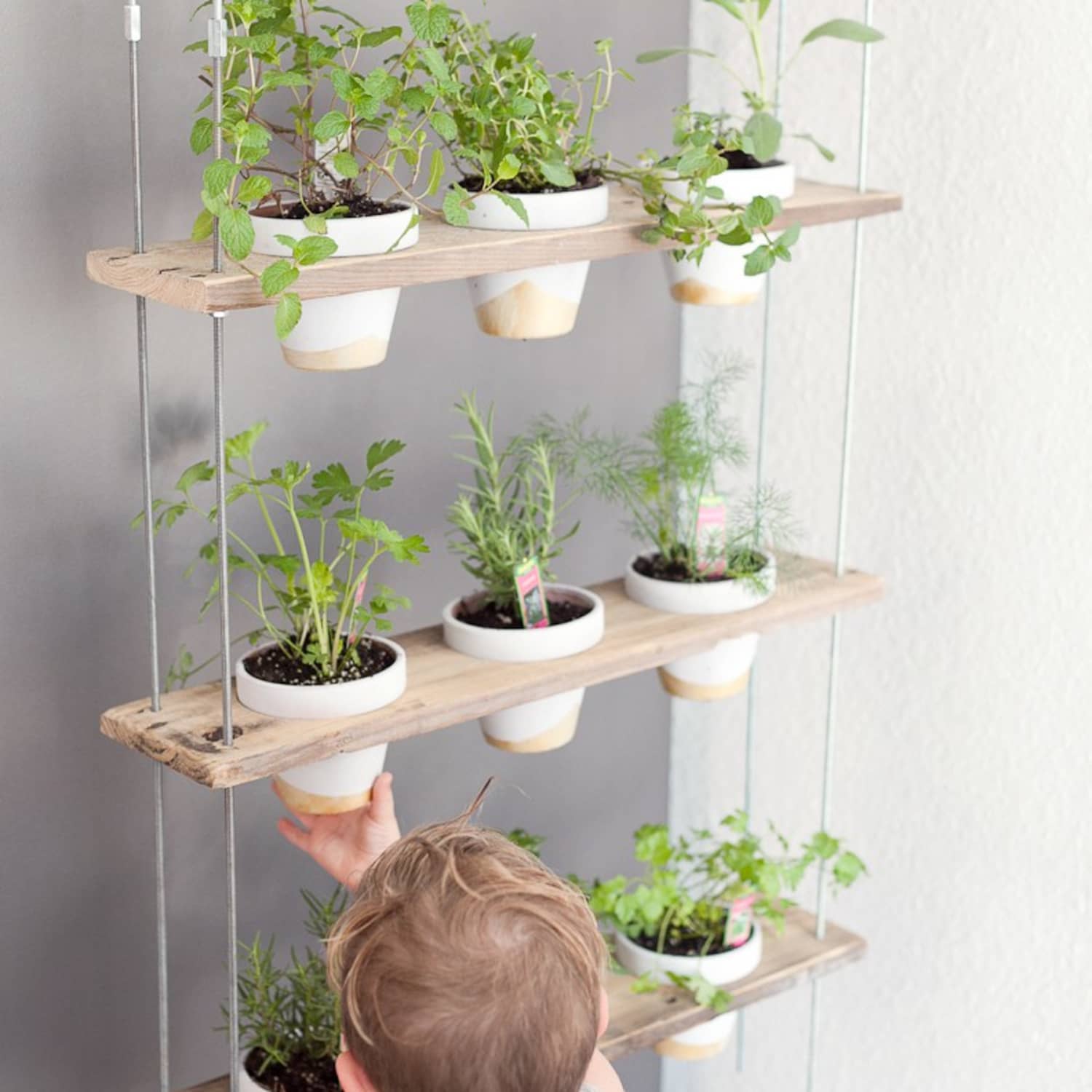 This DIY Herb Wall Is the Most Stylish Way to Add Green to Your Kitchen The Kitchn