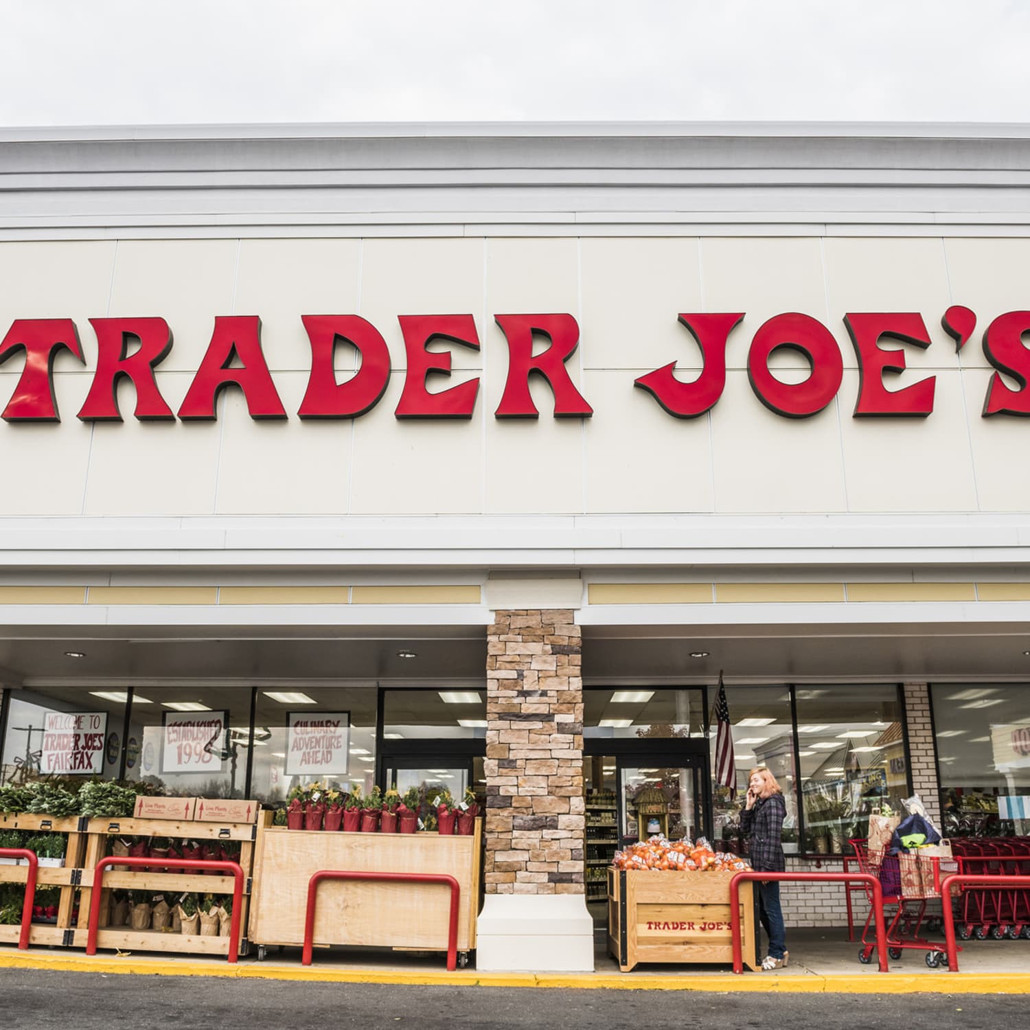 Trader Joe 9ft Felted Wool Garland NEW and Trivets Many popular brands