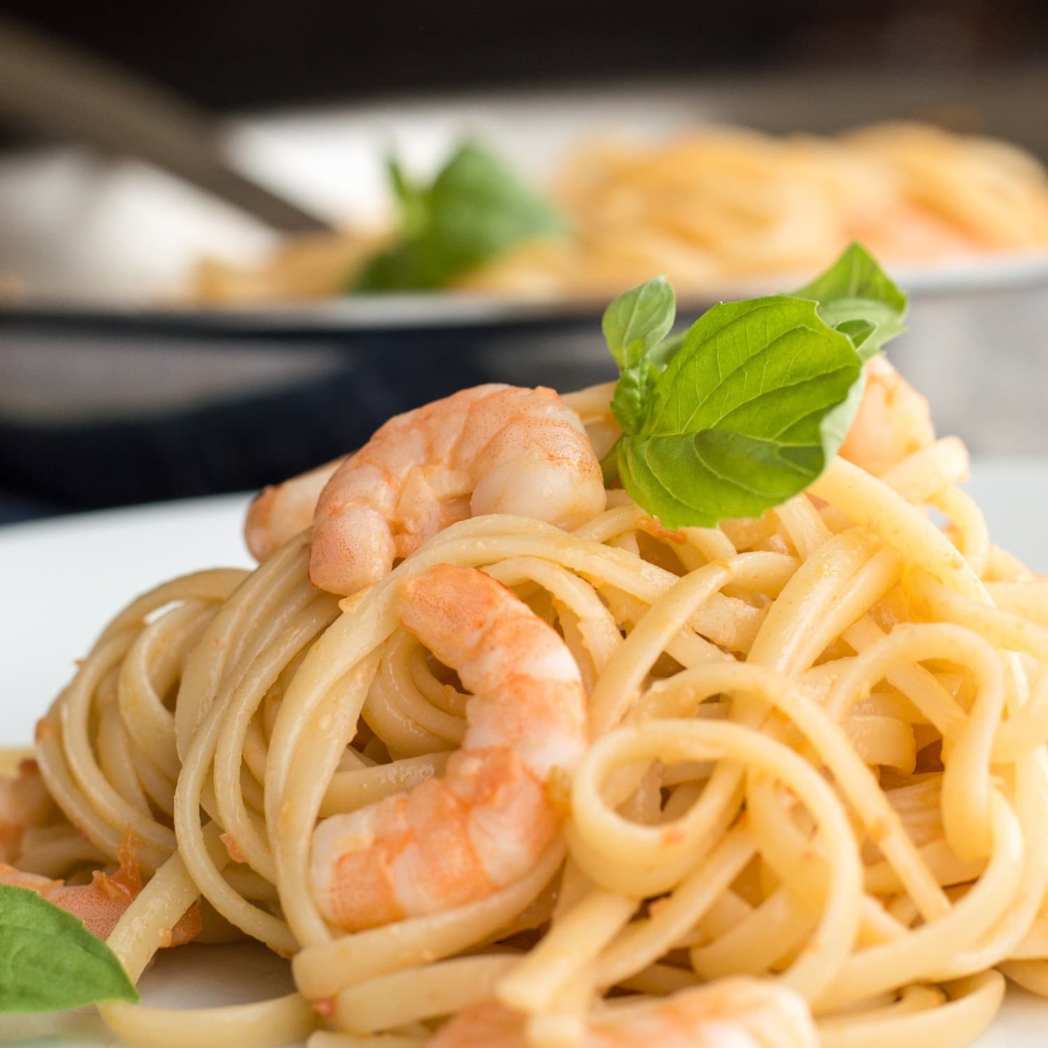 Shrimp pasta white deals sauce