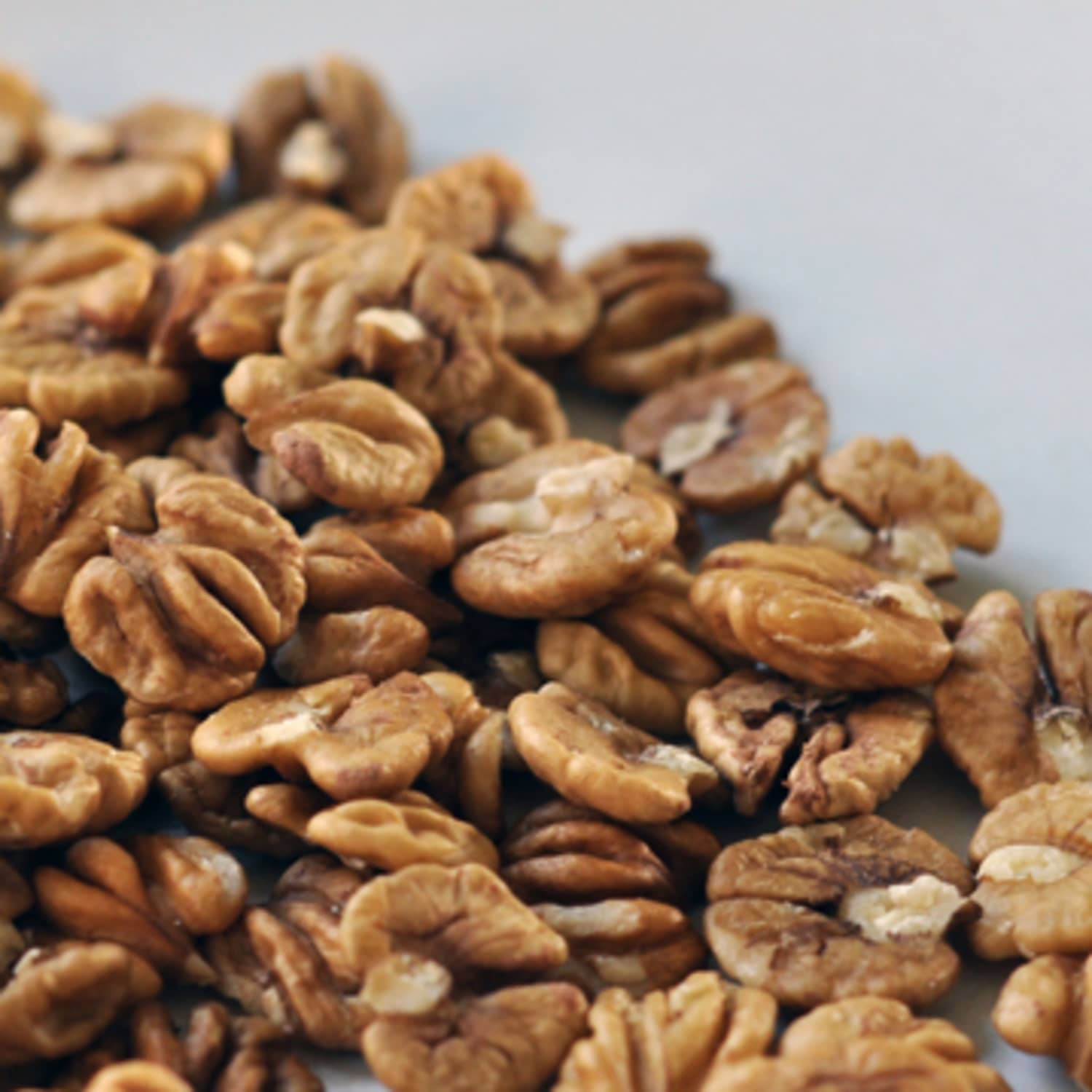 Hickory nut hotsell