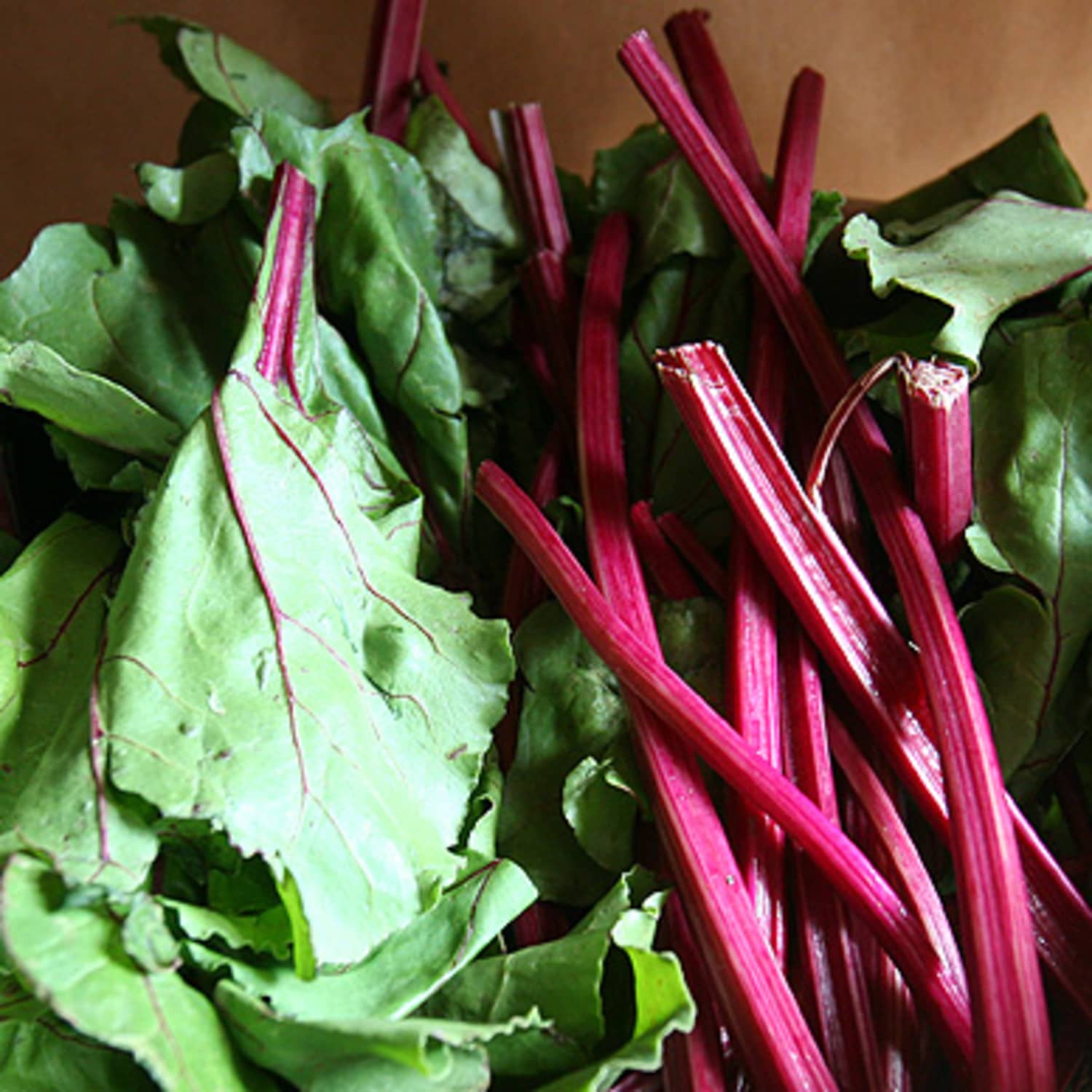 Raw beet leaves top