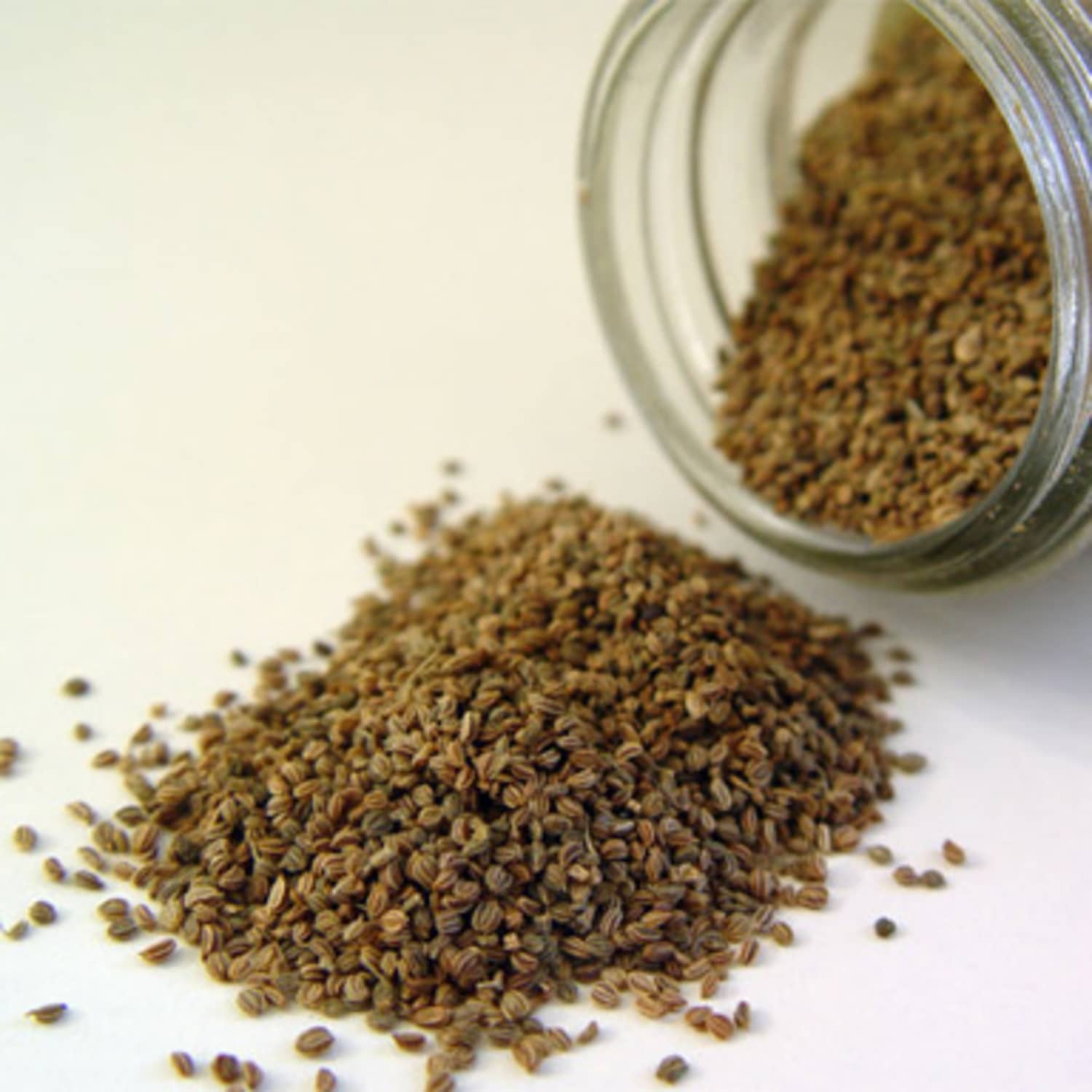 what is celery seed good for in cooking