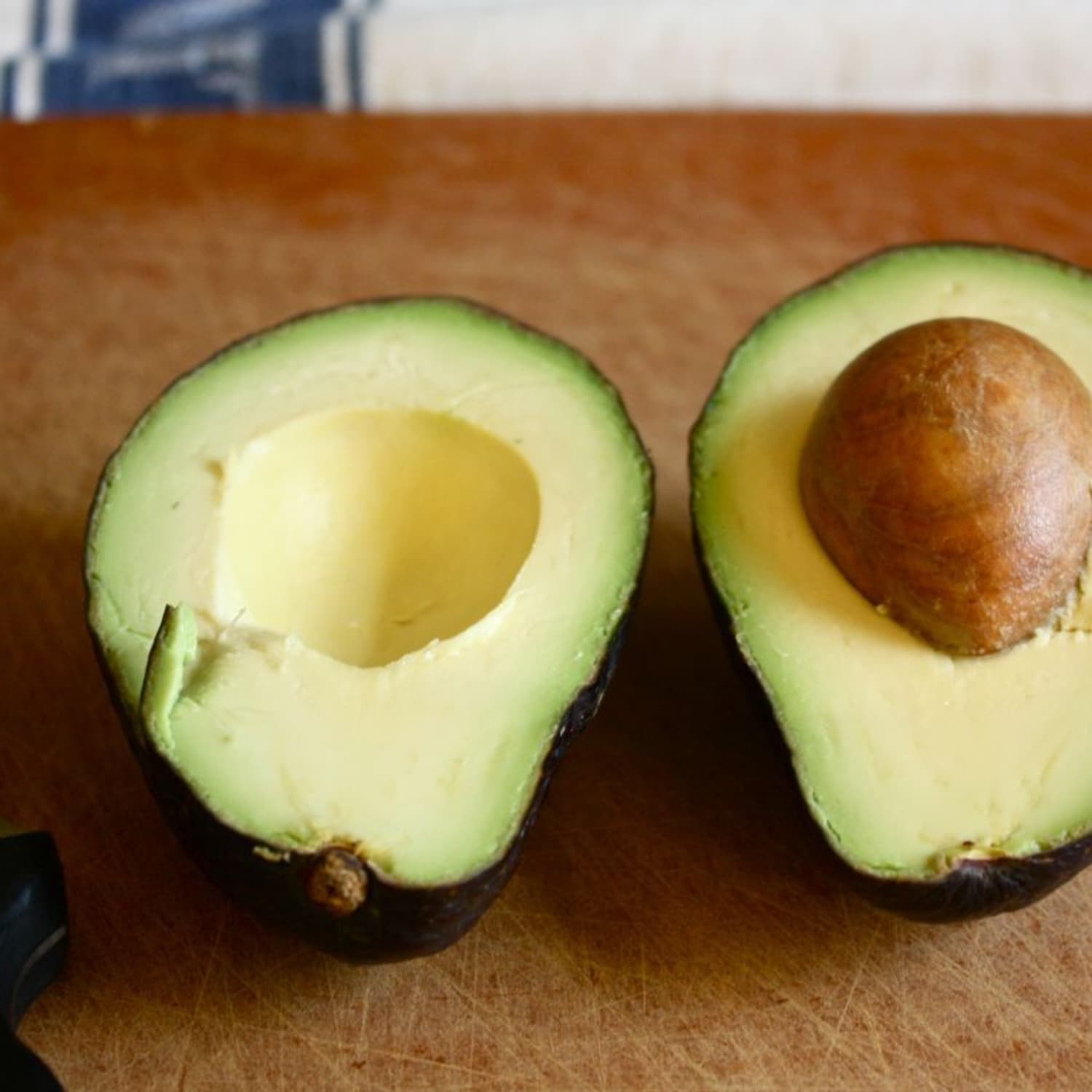 Are avocado seeds bad for dogs clearance