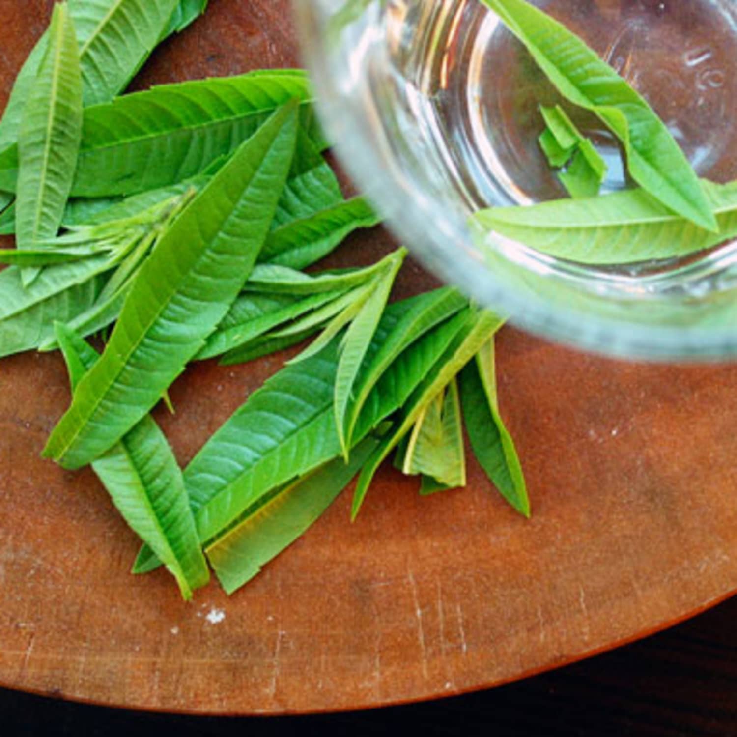 Lemon Verbena, Rectified ubicaciondepersonas.cdmx.gob.mx