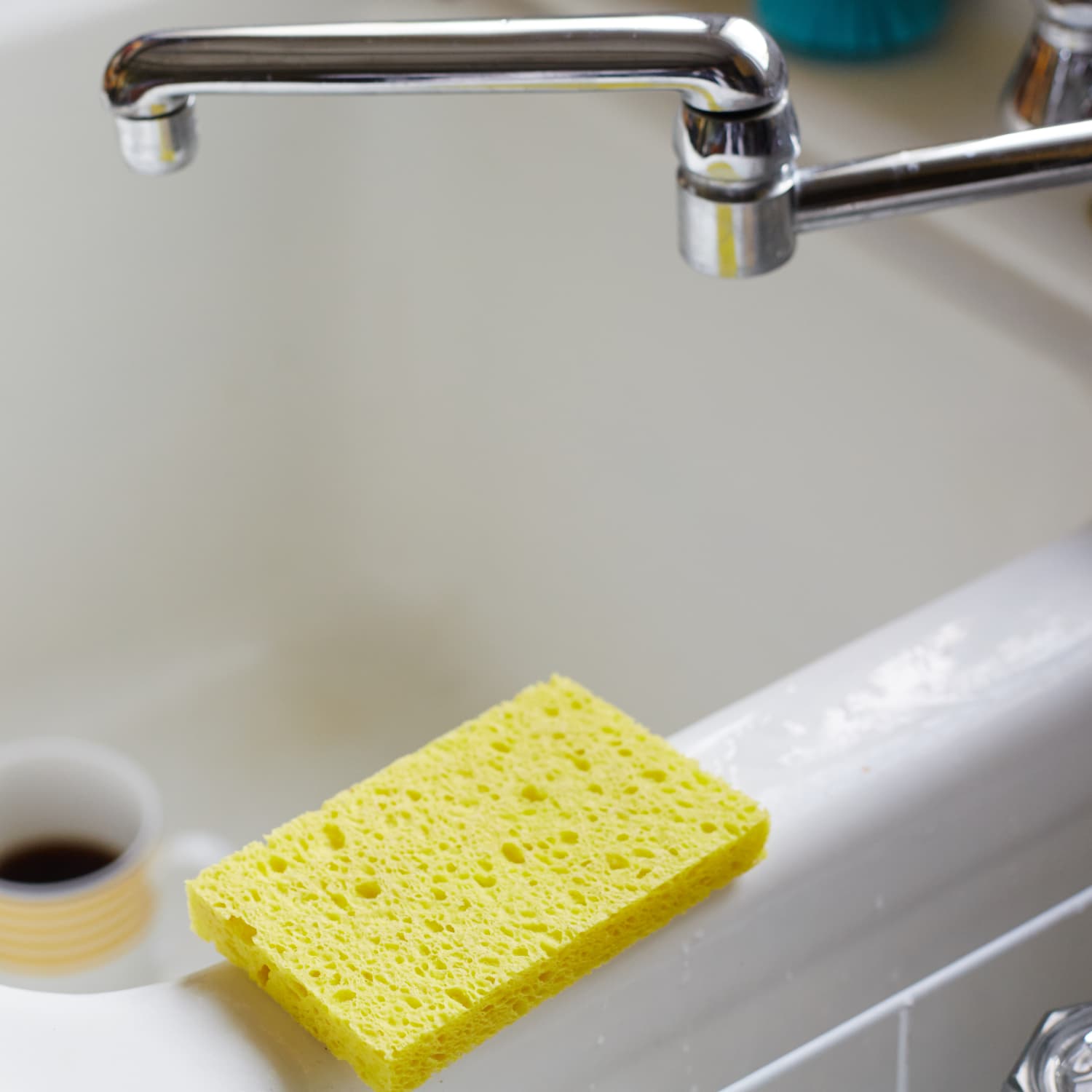 Sanitize best sale kitchen sponge