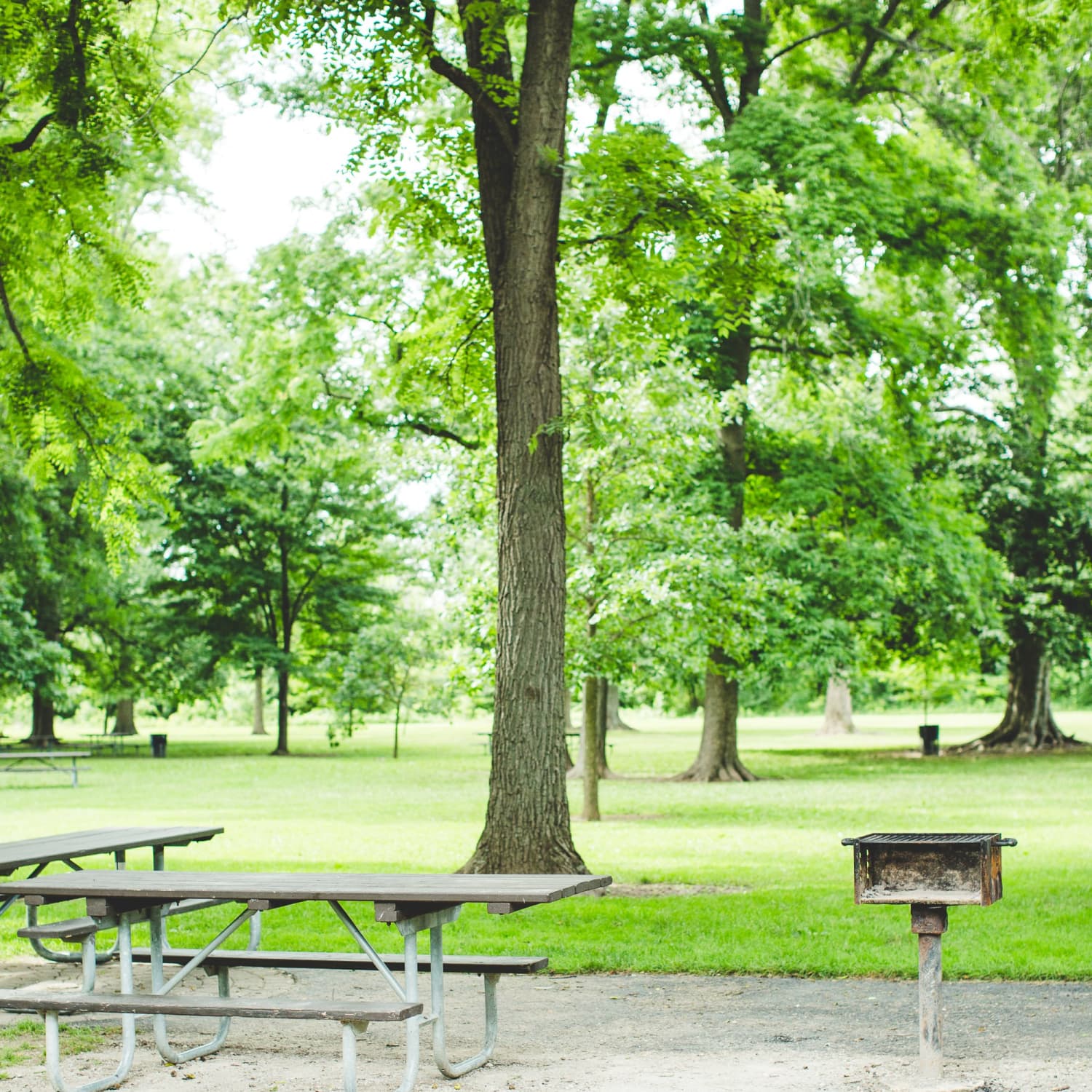 Park with grill new arrivals