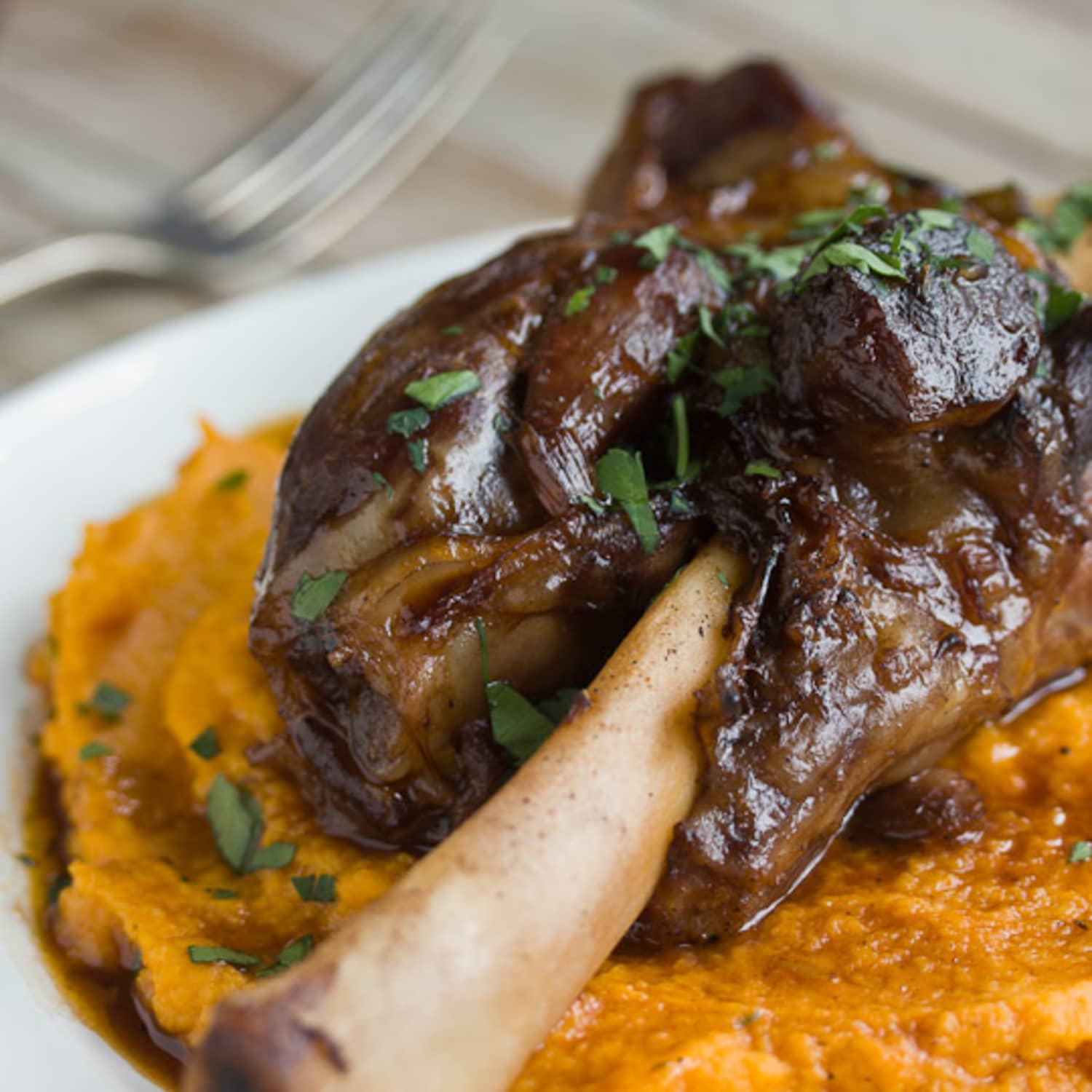Can dogs eat outlet cooked lamb shanks