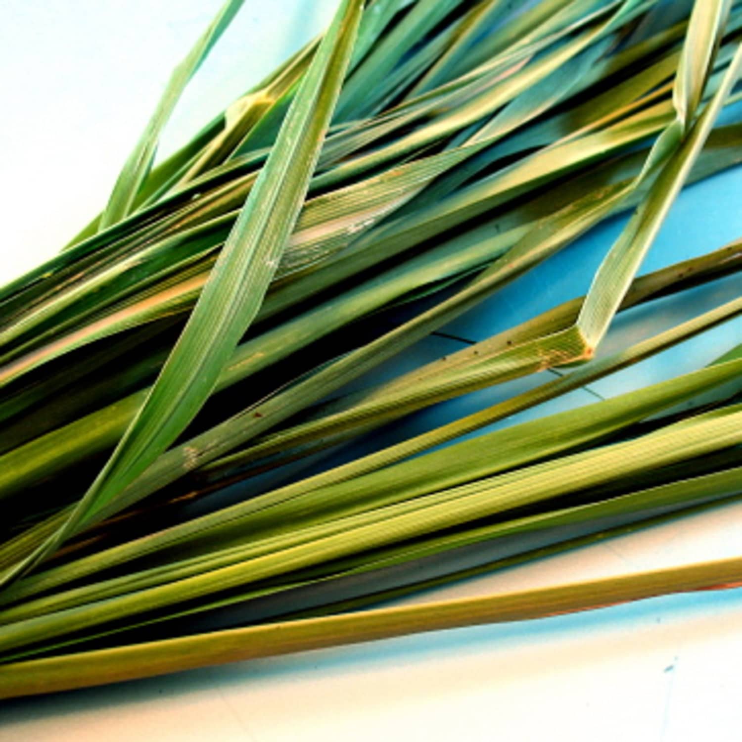 Lemongrass leave store