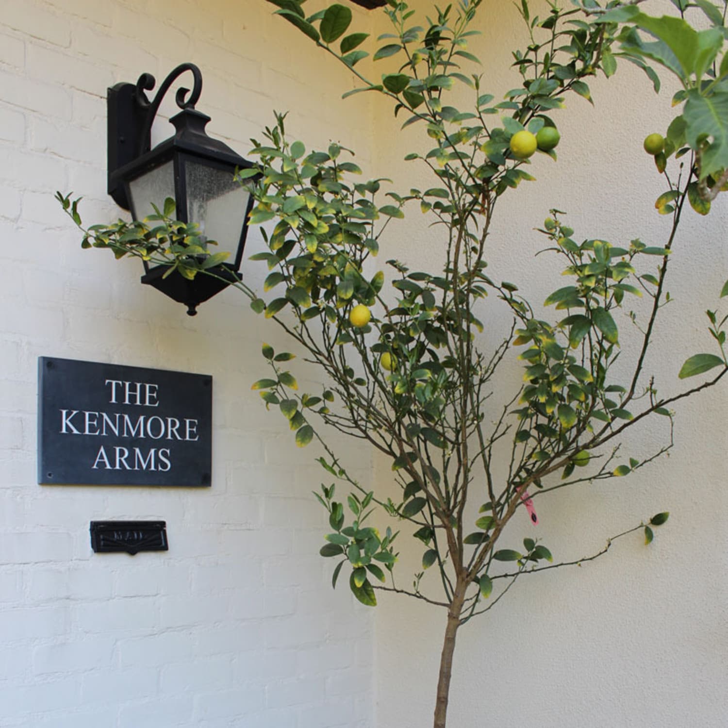 Ideas For Naming Your House Apartment Therapy Find available domain names with 28 name generators. ideas for naming your house apartment