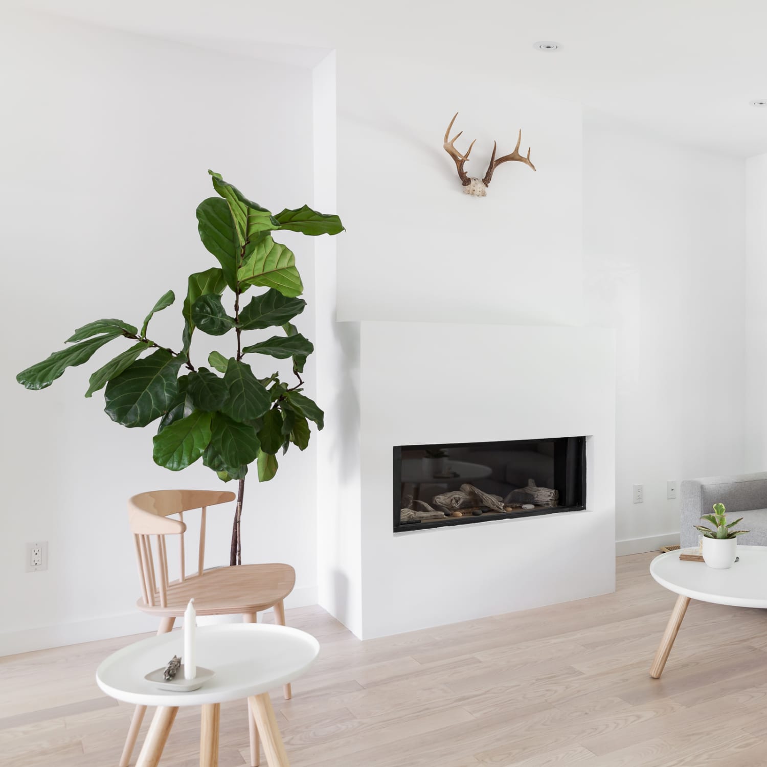 Wood Accent Wall Ideas Apartment Therapy