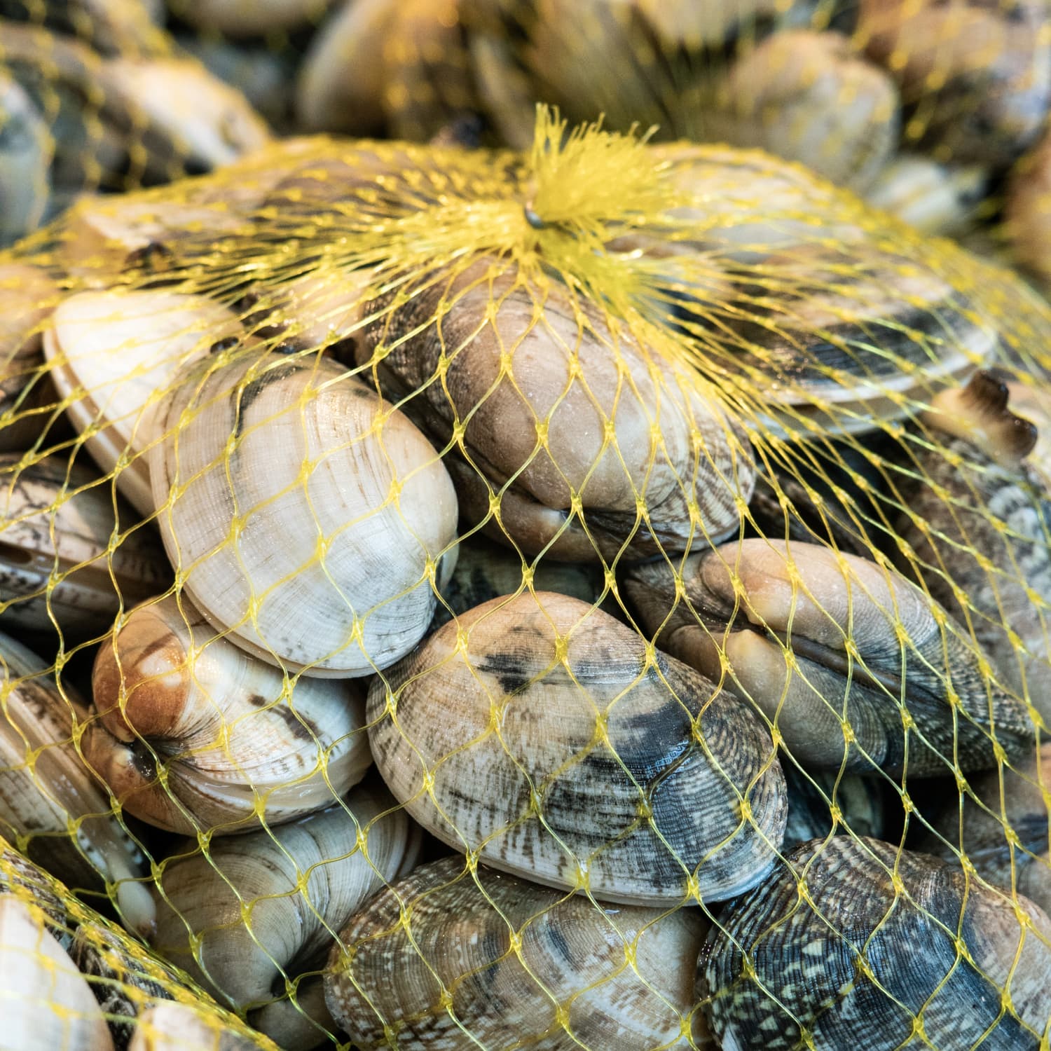 How To Clean Clams
