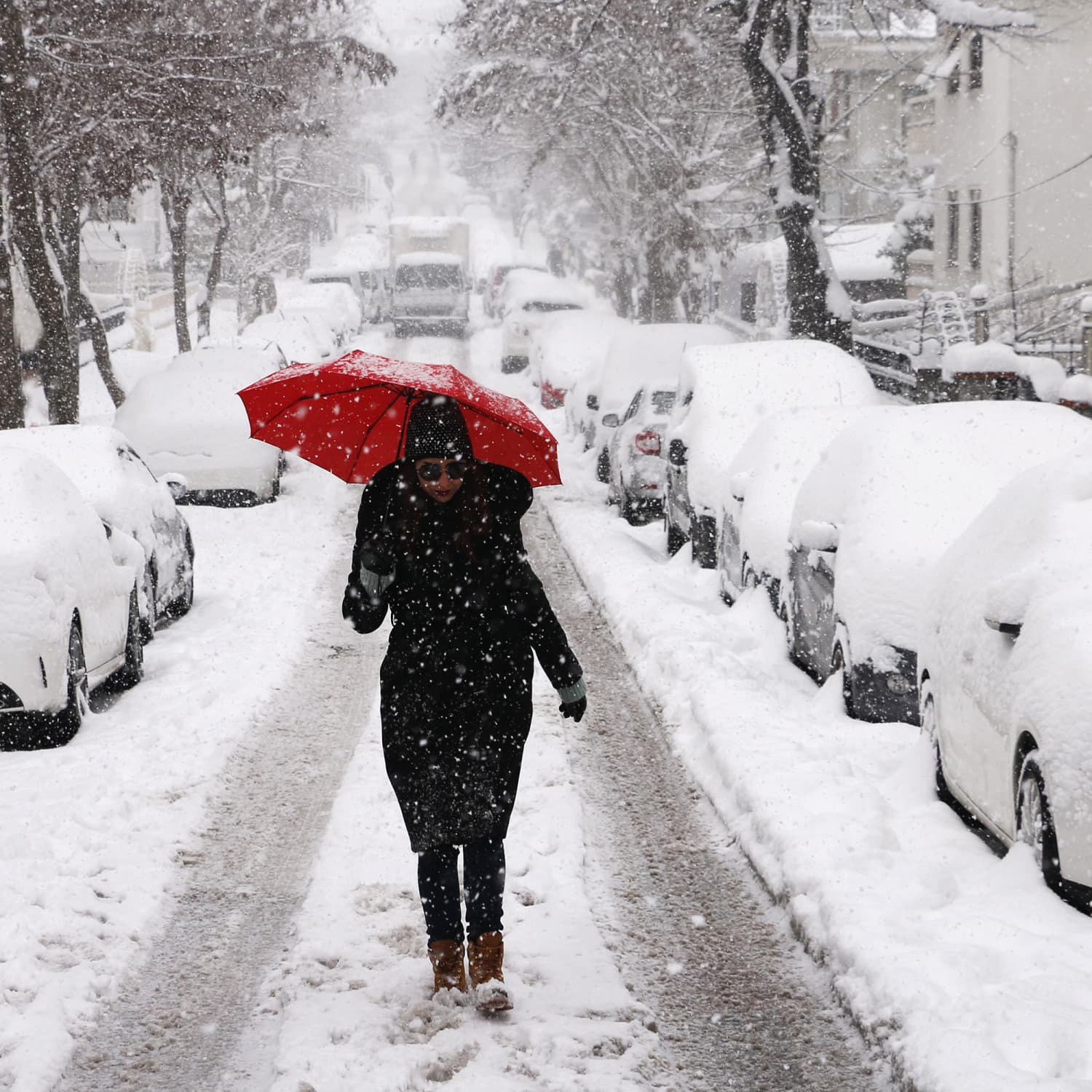 Farmers Almanac Winter Weather Prediction Apartment Therapy