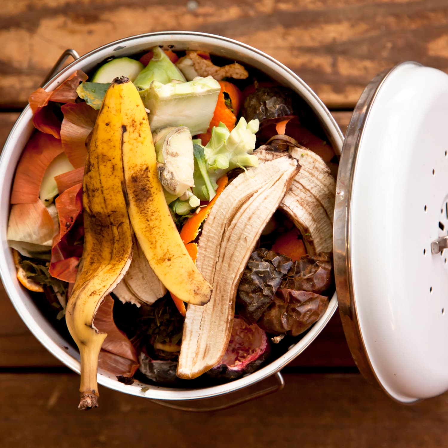The 12 Best Countertop Compost Bins To Buy - Epic Gardening
