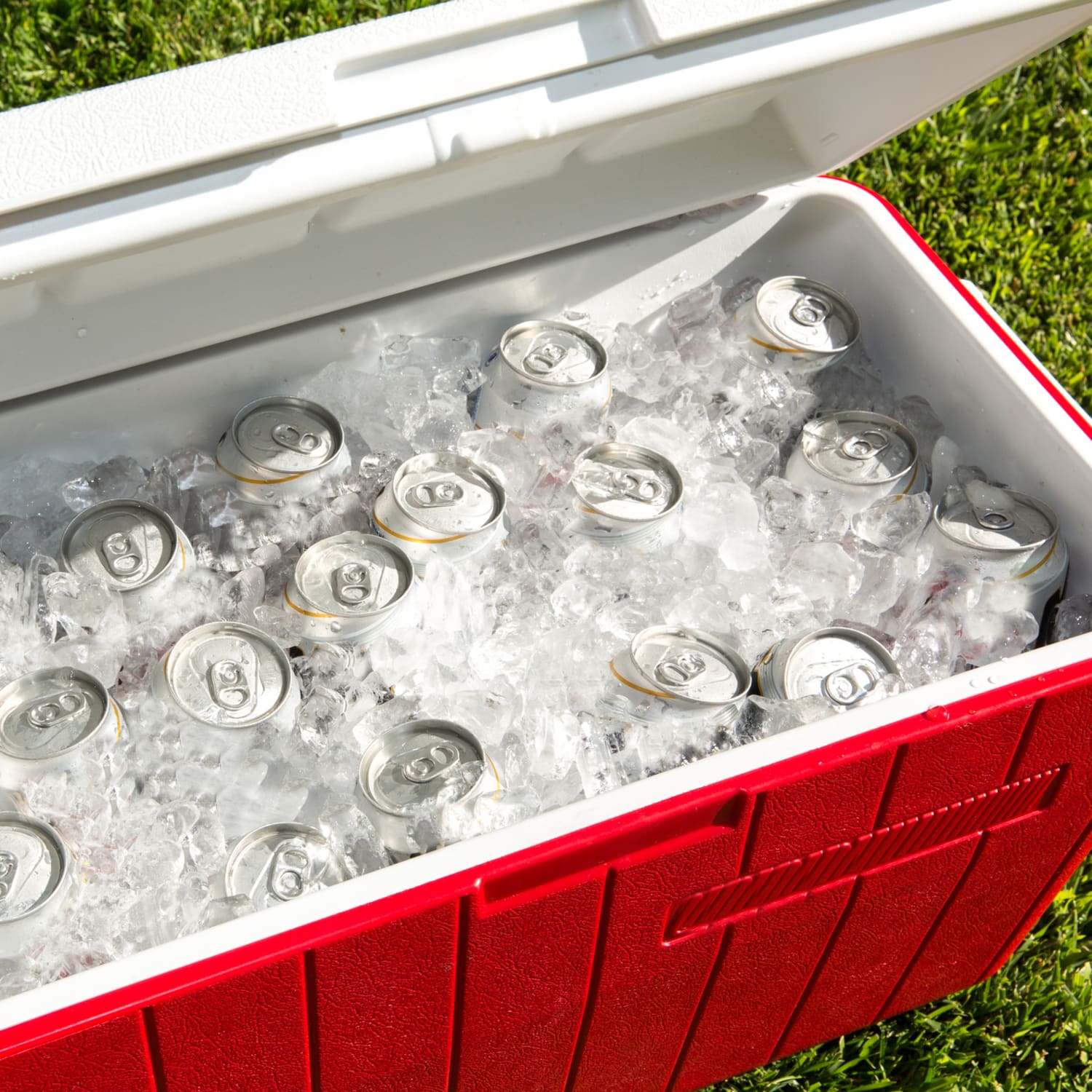 best cooler wirecutter