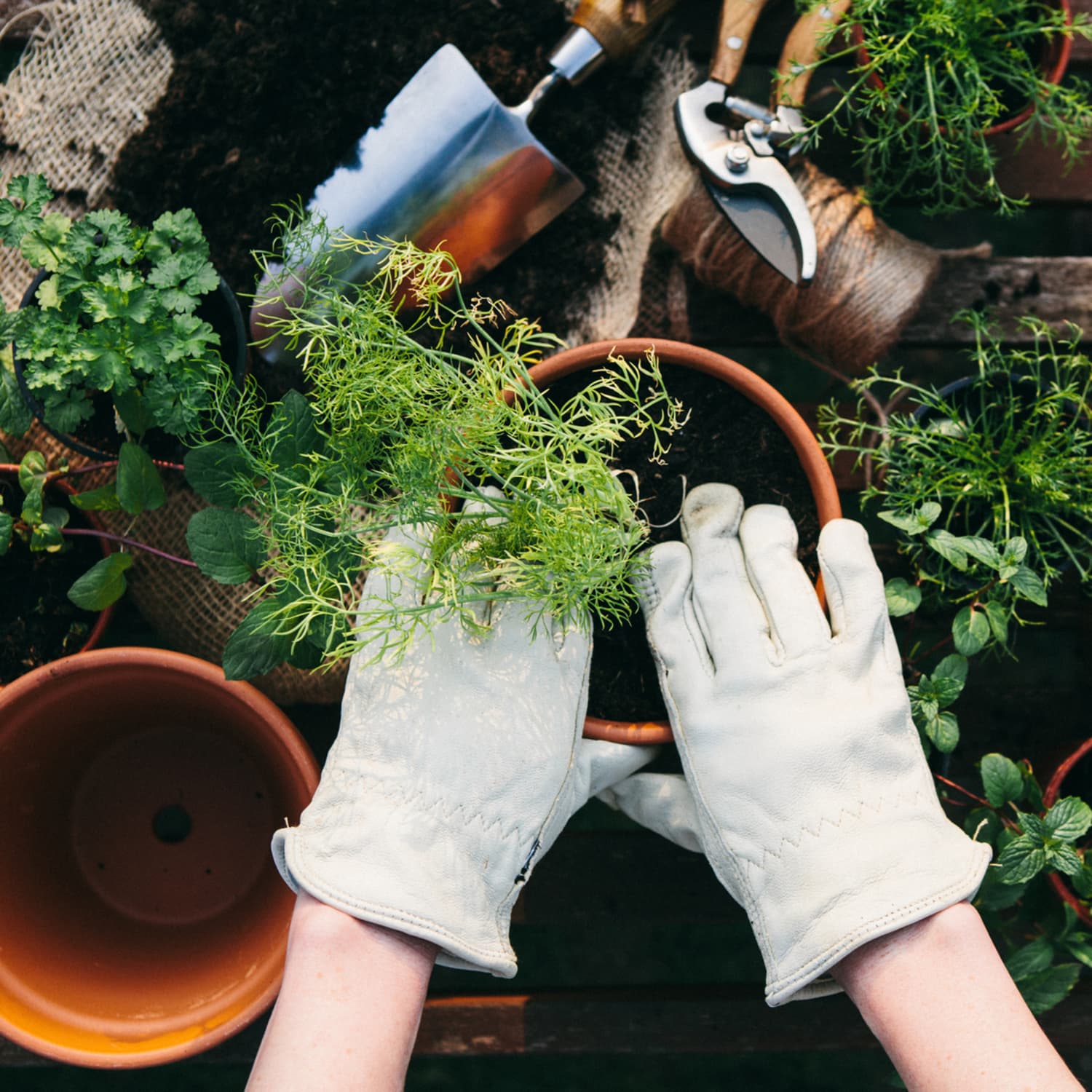 Best Pool Noodles For Gardening