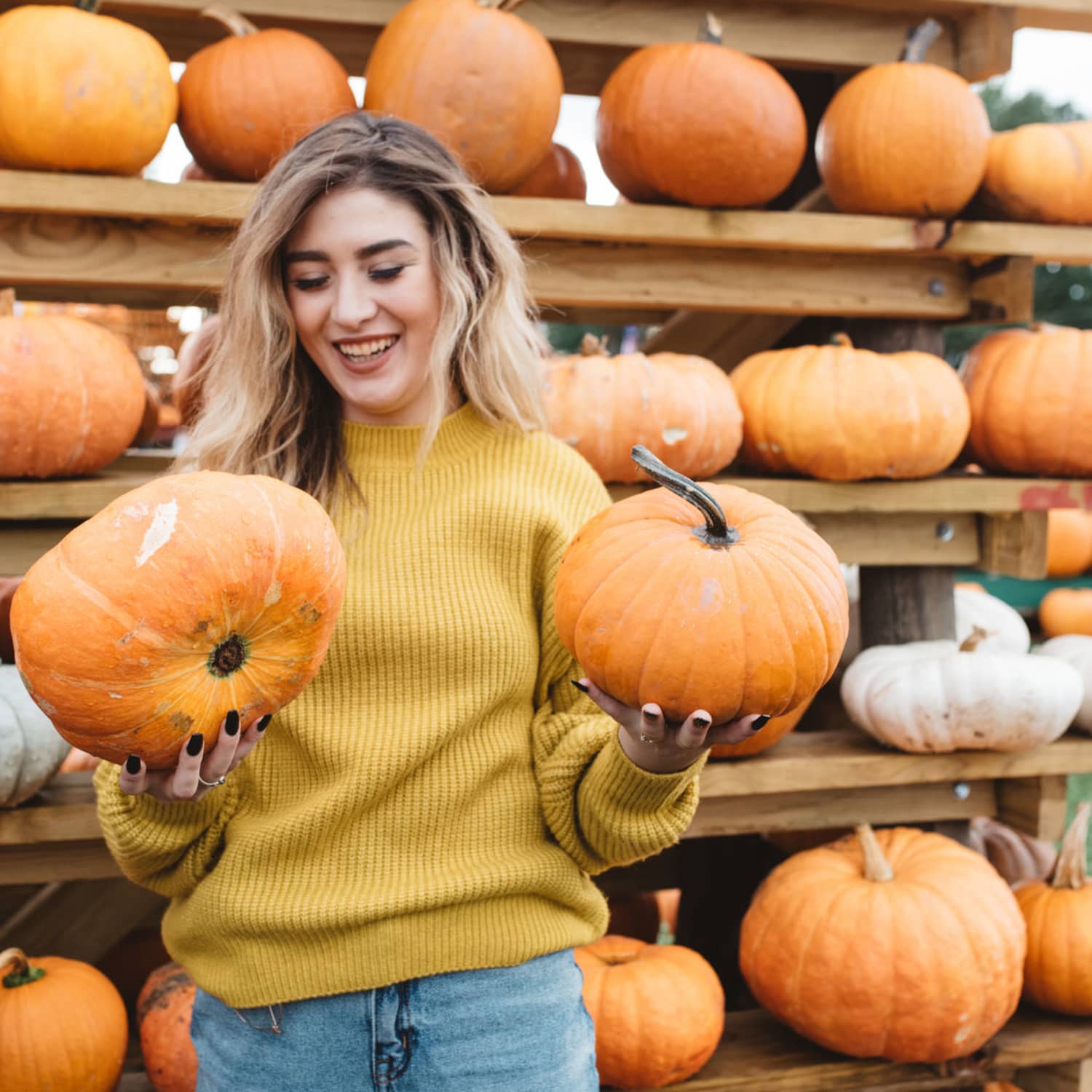 25 of the BEST Things to Do in the Fall for Under $15 - The Busy Budgeter