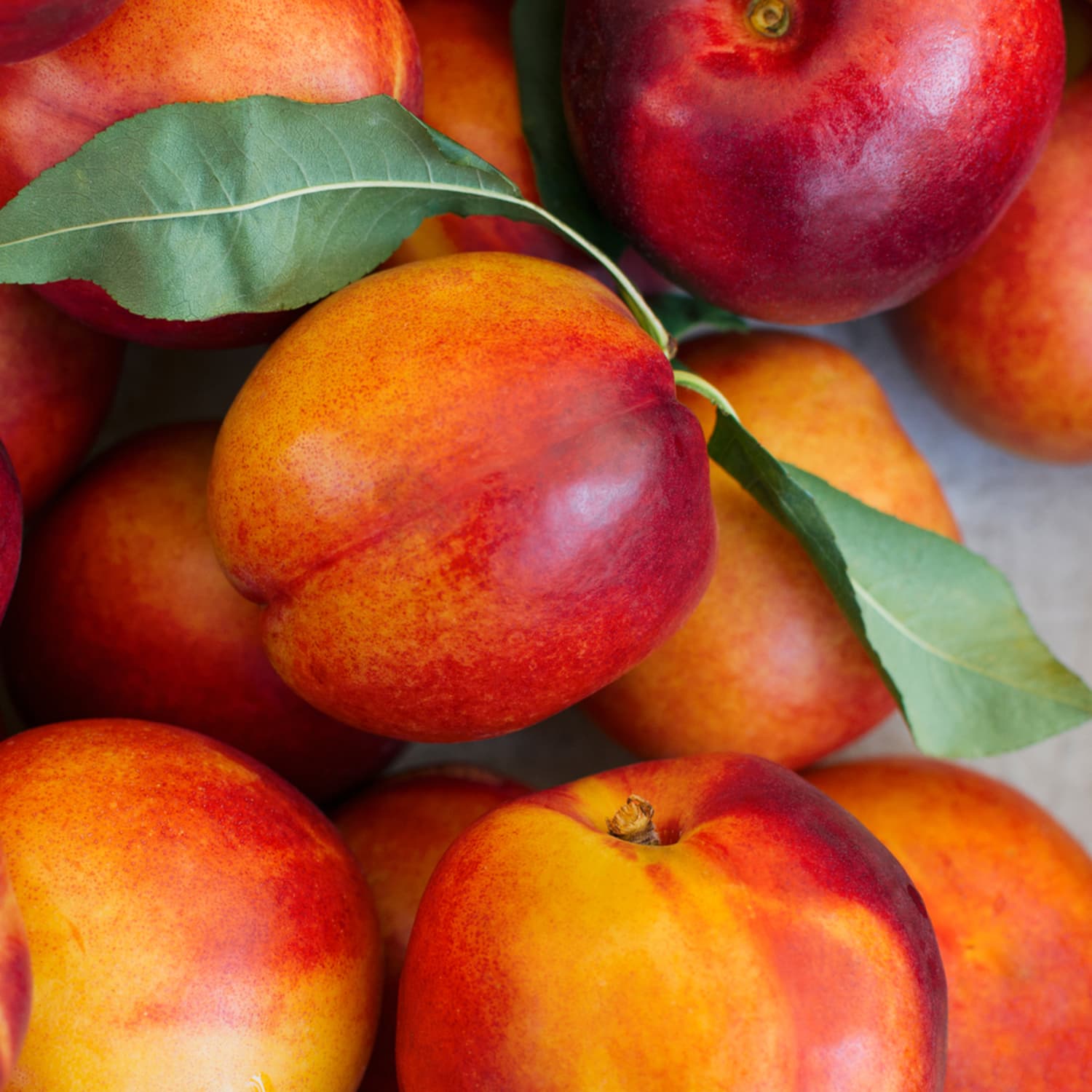 Nectarines Are So Much Better Than Peaches (Sorry) | The Kitchn