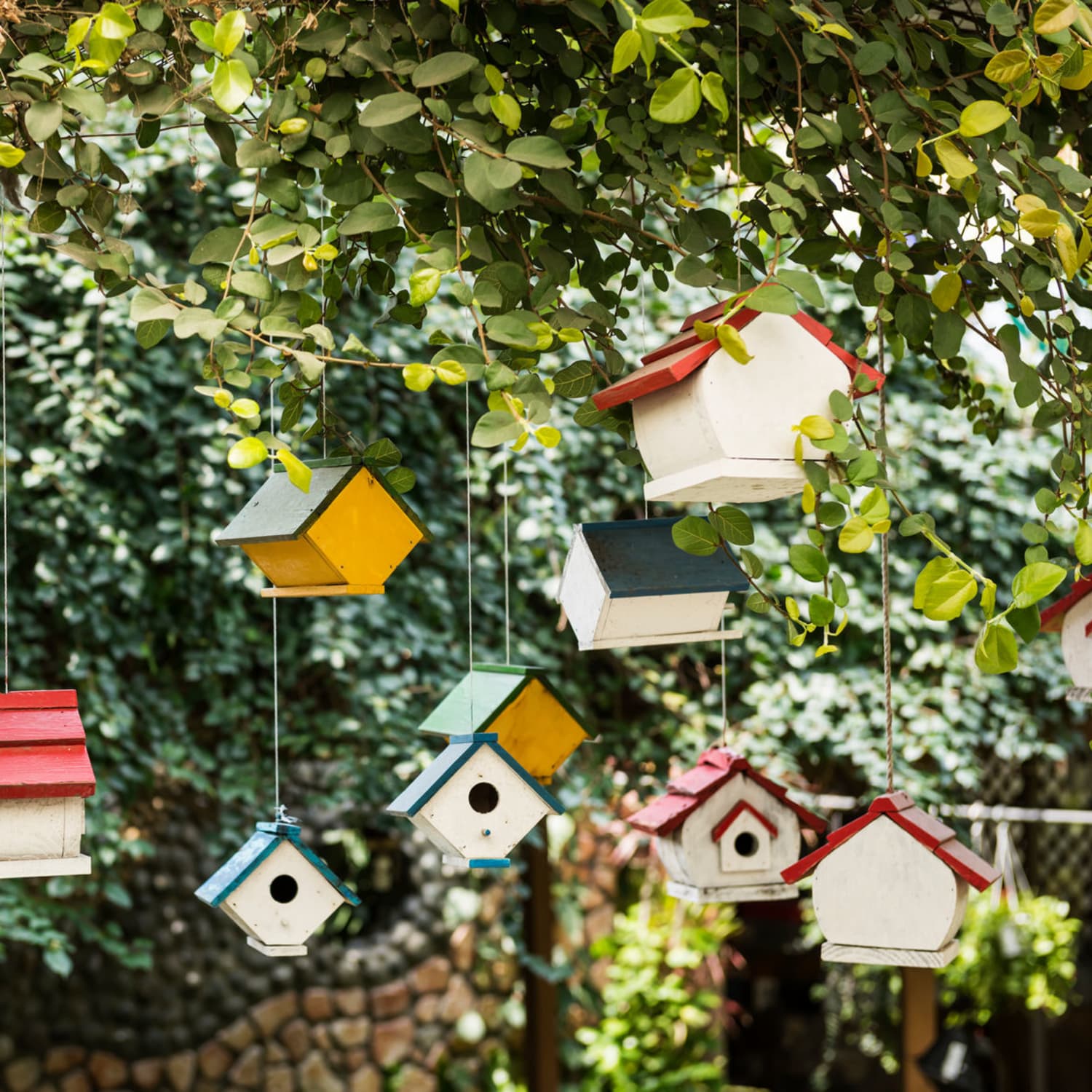 Diy Project Ideas 10 Bird Feeders For Kids To Make Apartment