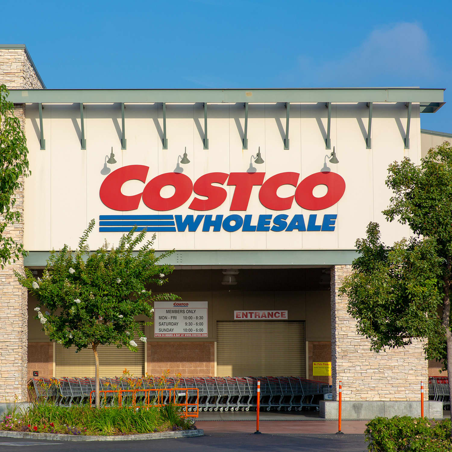 Costco Live Christmas Trees Apartment Therapy