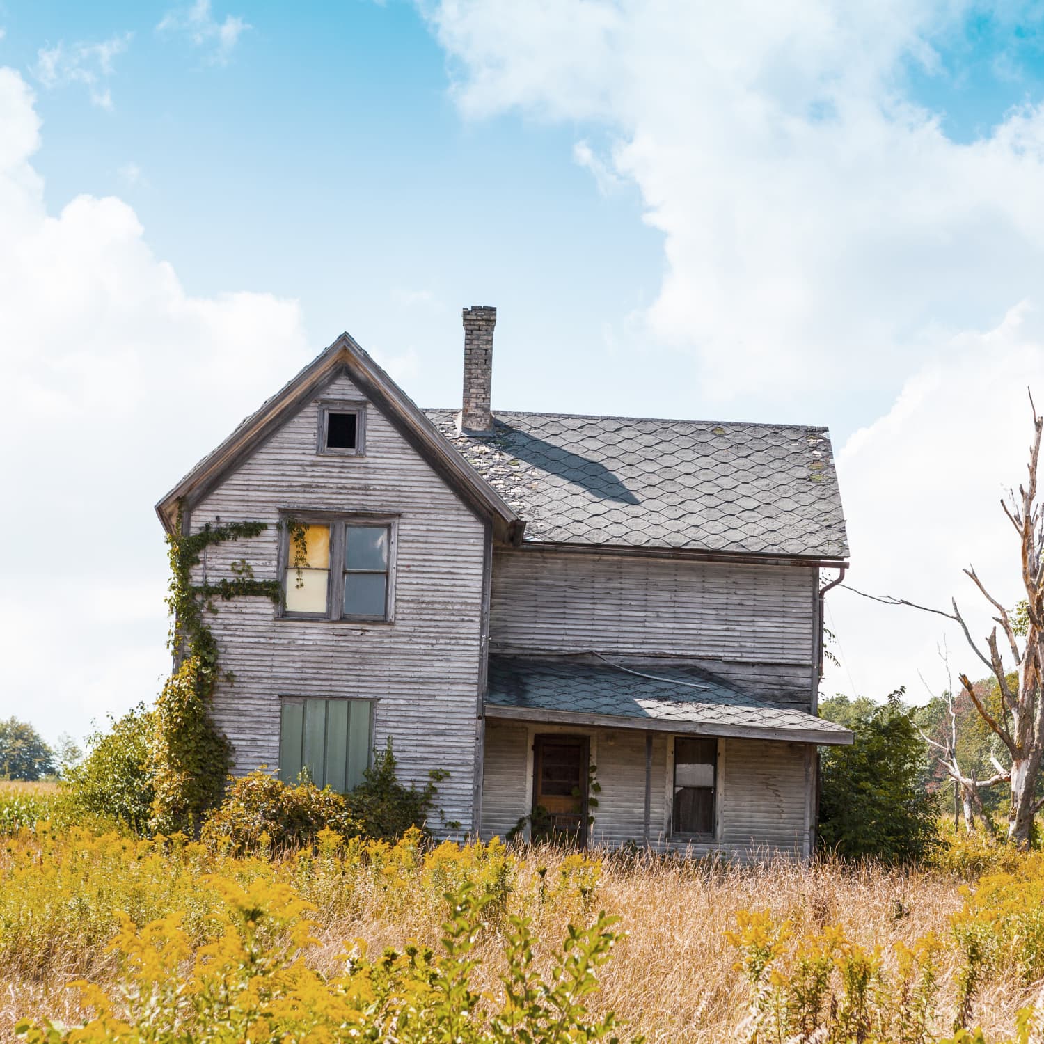 States Where Real Estate Agents Don't Have To Disclose Any Deaths In Your  House | Apartment Therapy