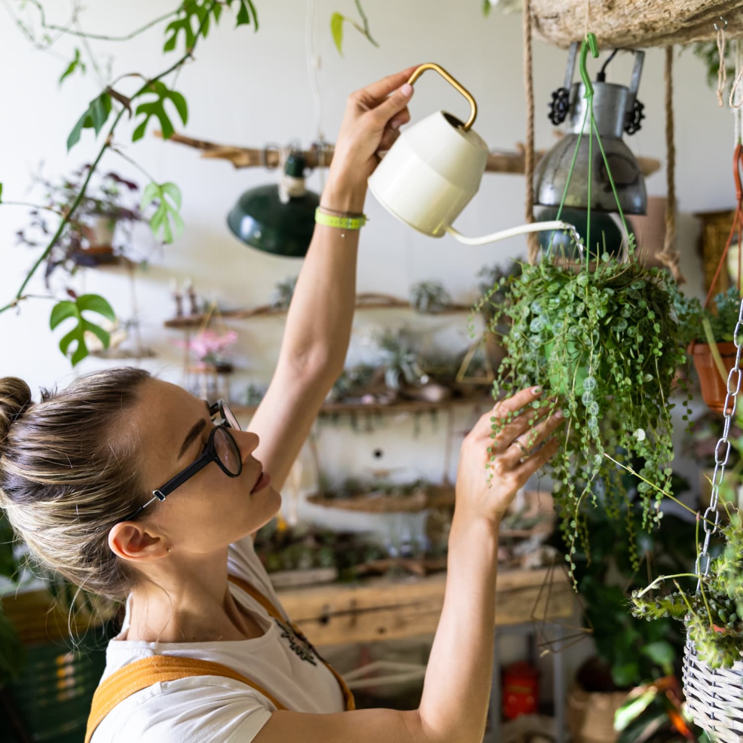 5 Best Free Plant Care Apps, According to Horticulturists | Apartment  Therapy