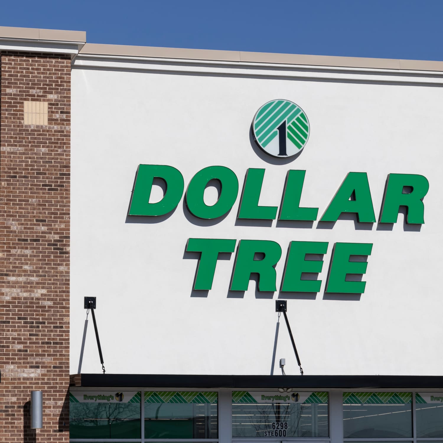 Twelve Dollar Tree deals under $1.25 - including gardening finds
