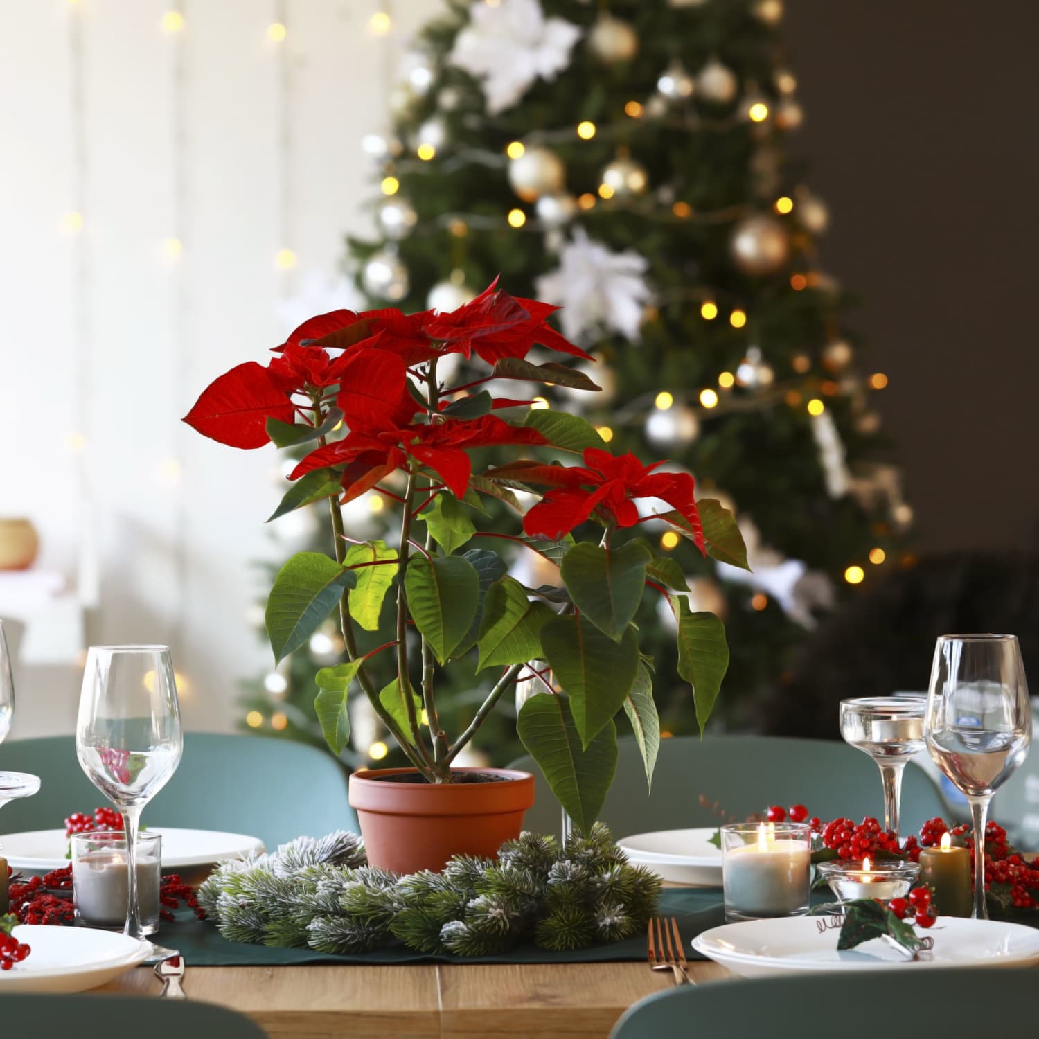 Elegant Christmas Tree with Poinsettias and Festive Decor