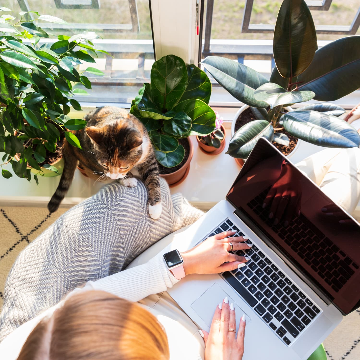 7 Tips for Finding a Remote-Friendly Job | Apartment Therapy