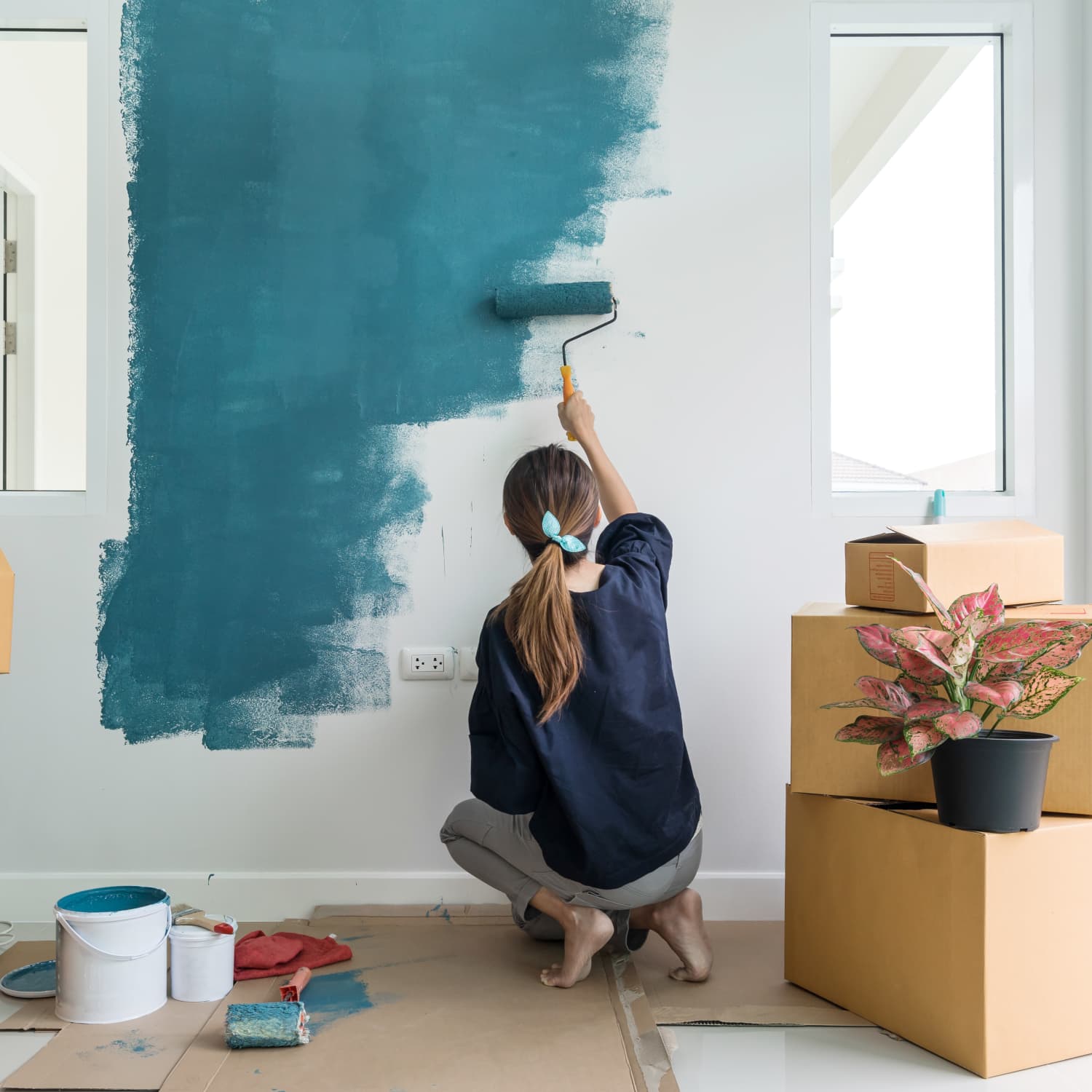 Matte store paint wall