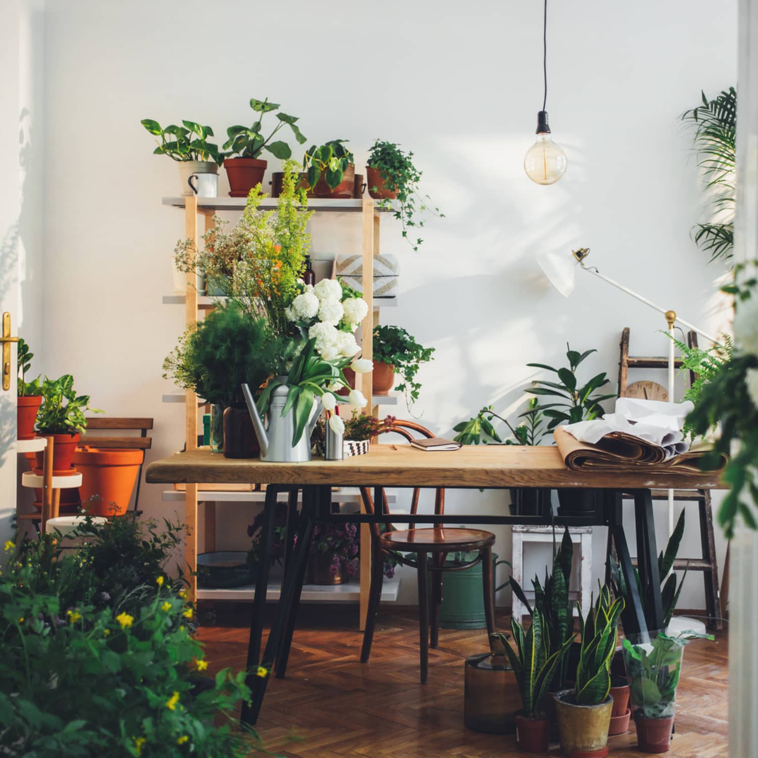 Table for deals plants ikea