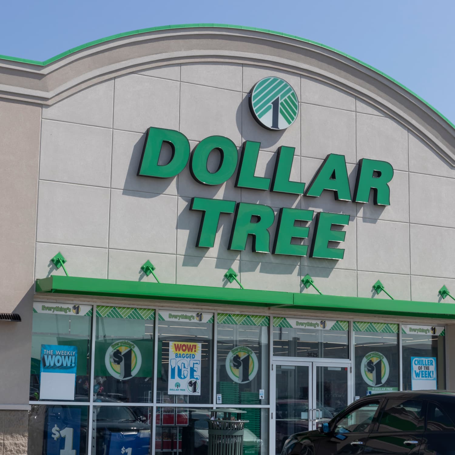 Dollar cheap tree earrings
