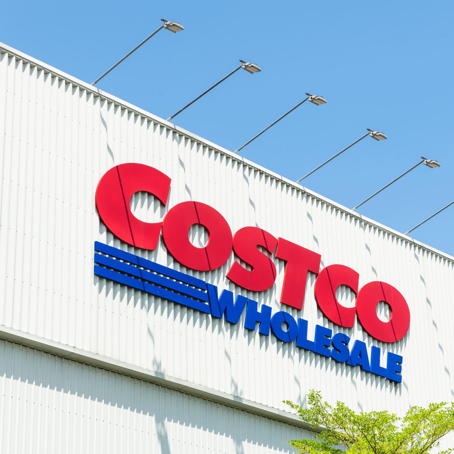 Costco eco blanket deals