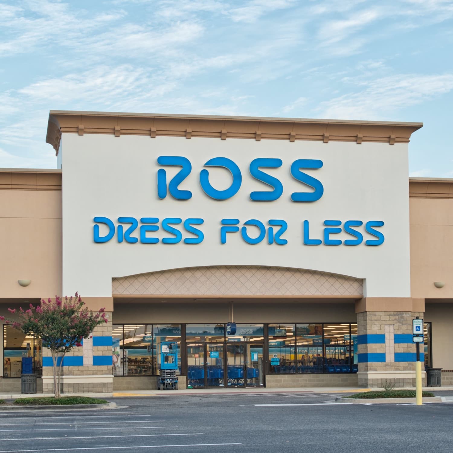 Ross cat discount bed