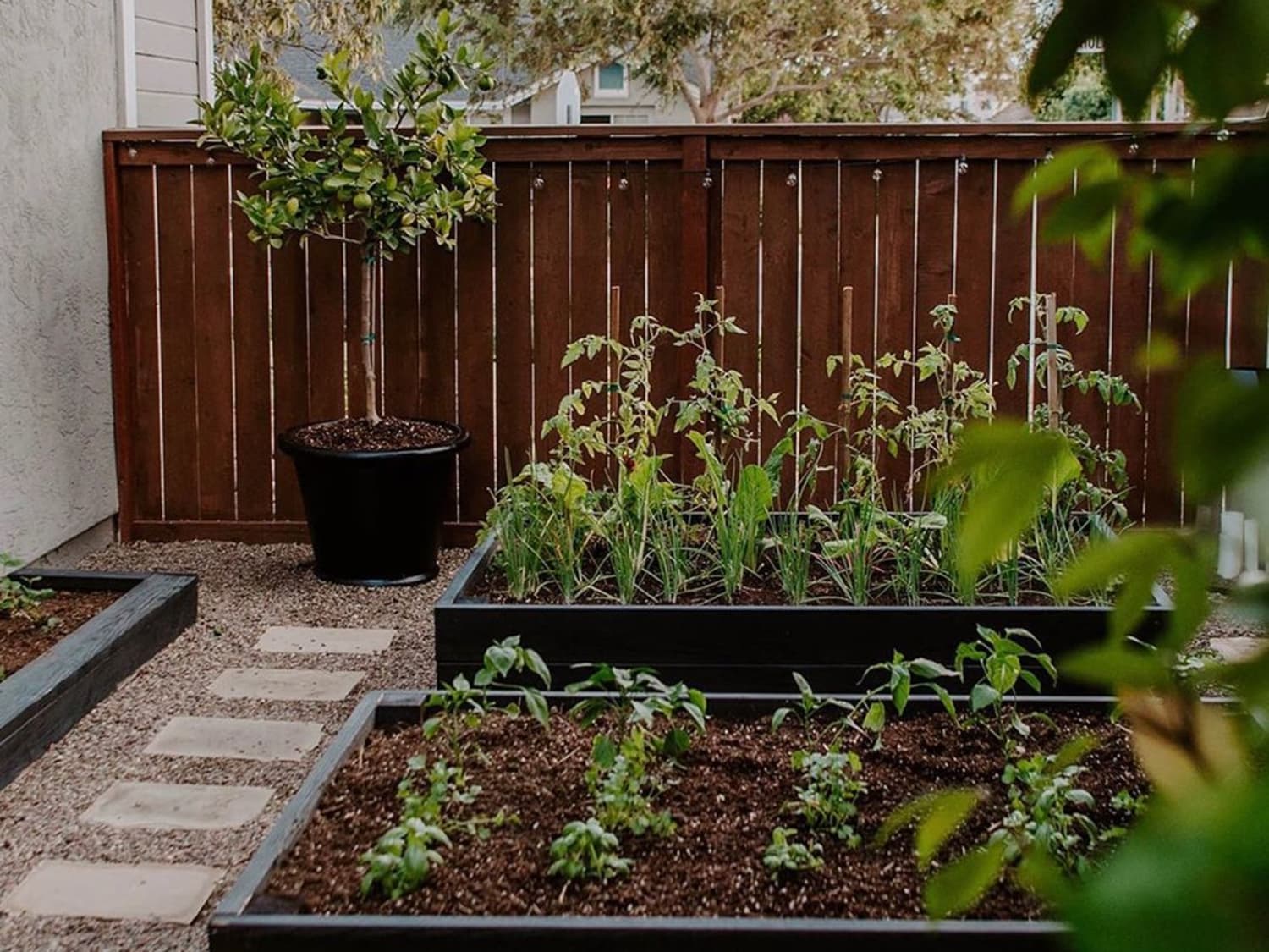 10 Patio Garden Ideas How To Grow Plants On A Small Porch Apartment Therapy
