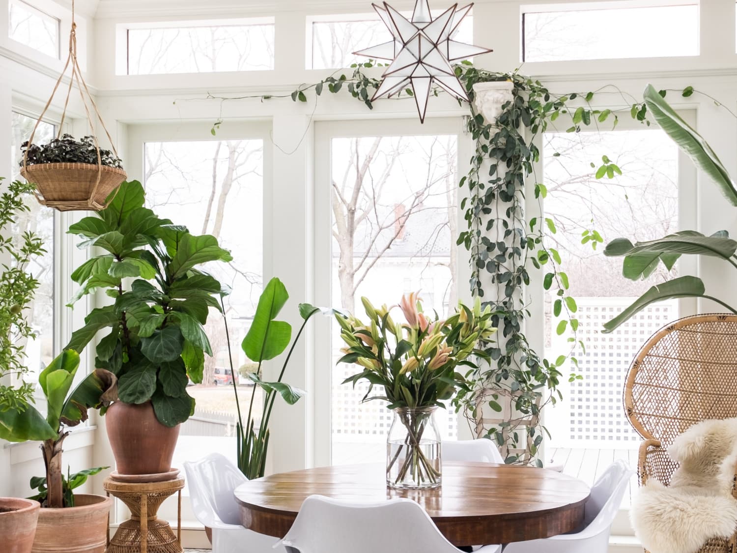 AnotherStudio Plant Animal Decorations (Tested, Photos) | Apartment Therapy