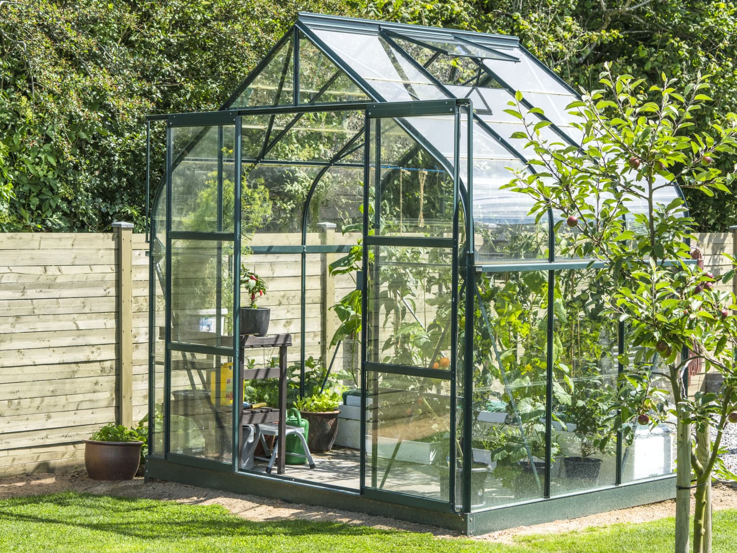 Best backyard greenhouse
