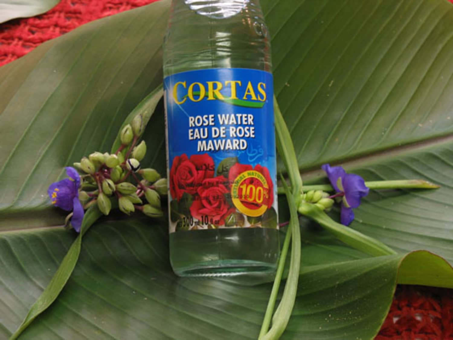 Ingredient Spotlight: Rose Water