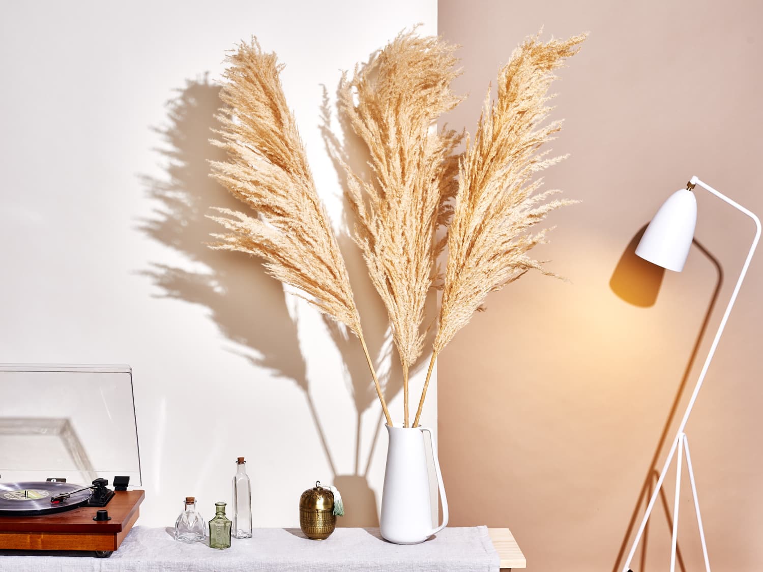 Pampas Grass Decorating Idea Decor Trend Apartment Therapy