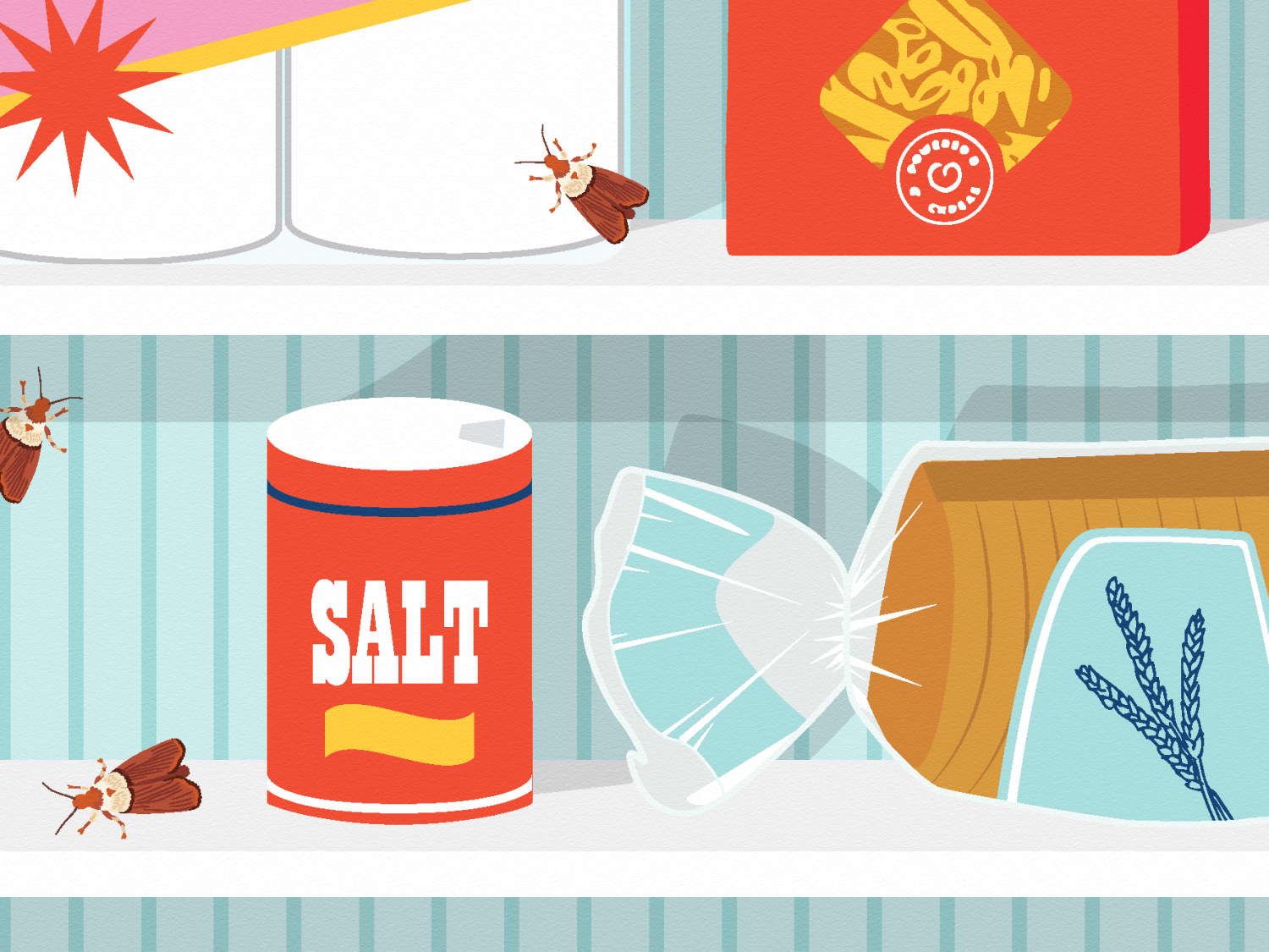 How To Get Rid Of Pantry Moths Apartment Therapy