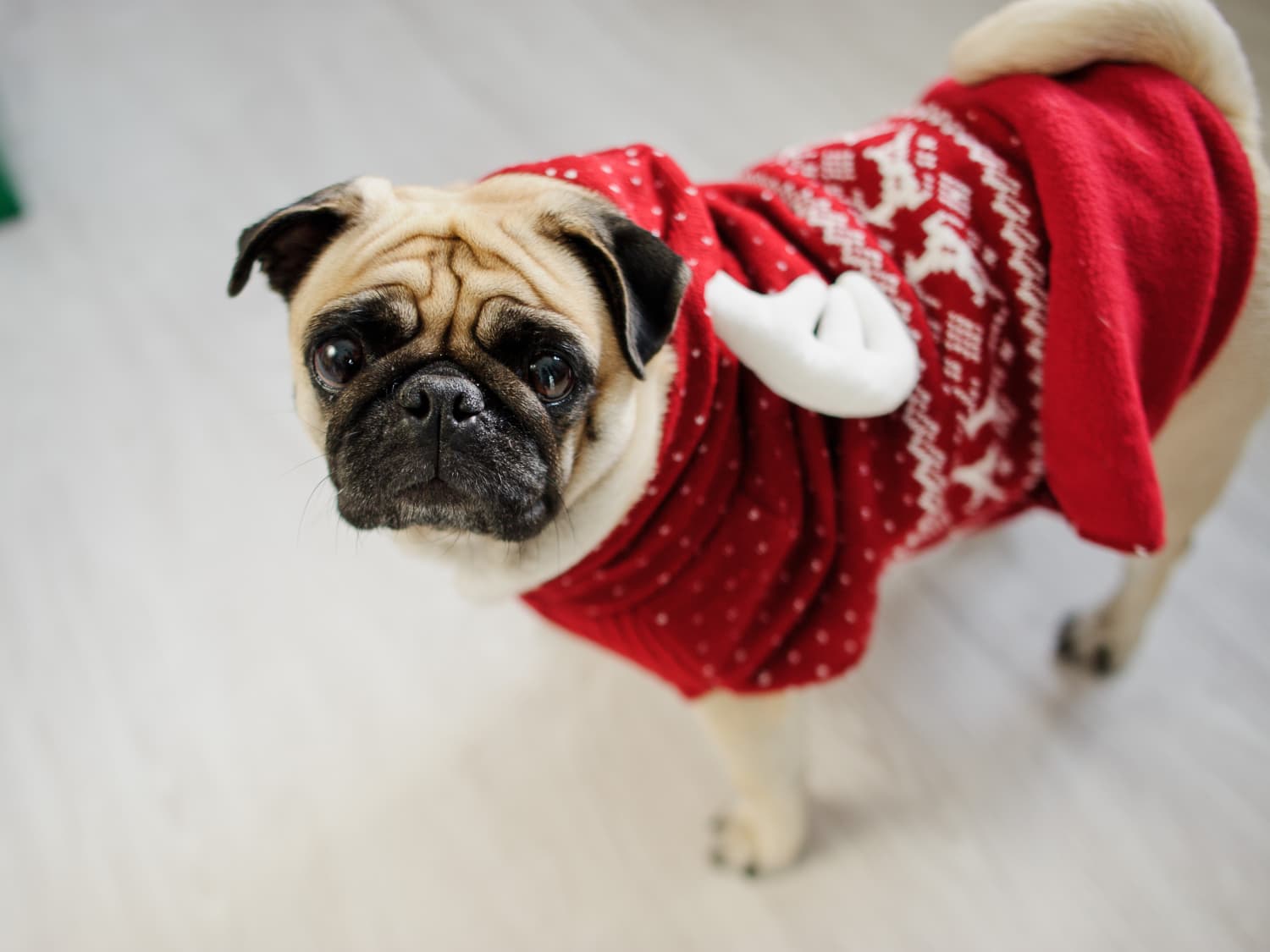 orfila store ugly sweaters