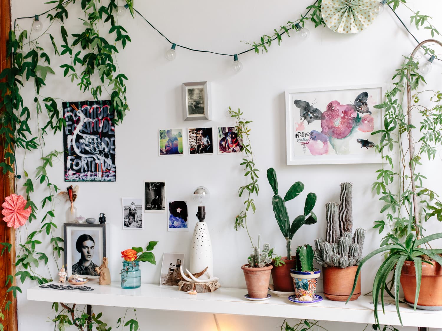 How To Start an Indoor House Plant Garden | Apartment Therapy