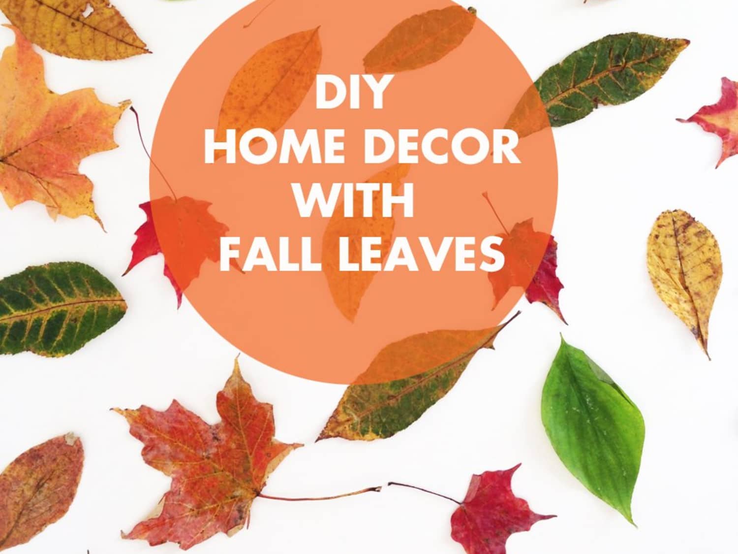12 Diy Projects Using Fall Leaves Apartment Therapy