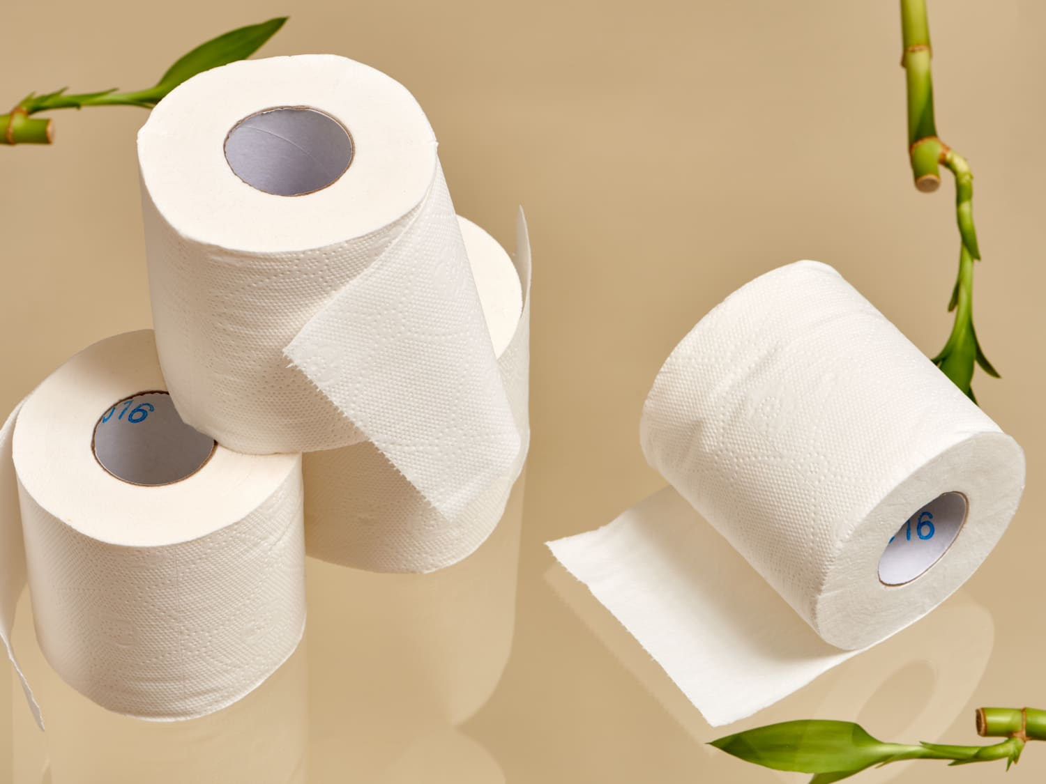 12 Wrapped Kitchen Rolls  Bumboo Eco-Friendly Toilet Paper