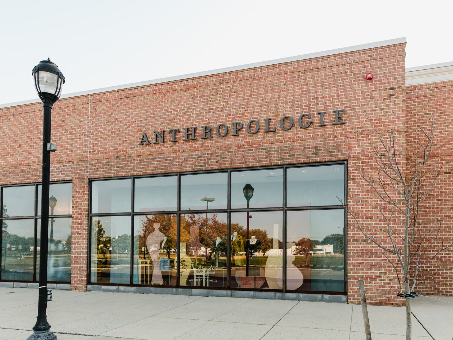 Anthropologie Ceramic Measuring Cups