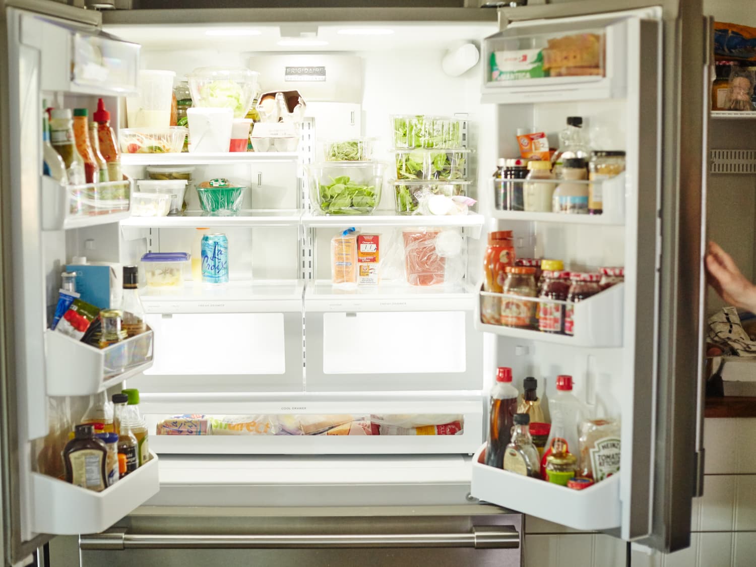 Mold In Your Refrigerator? Here's What To Do. | Kitchn
